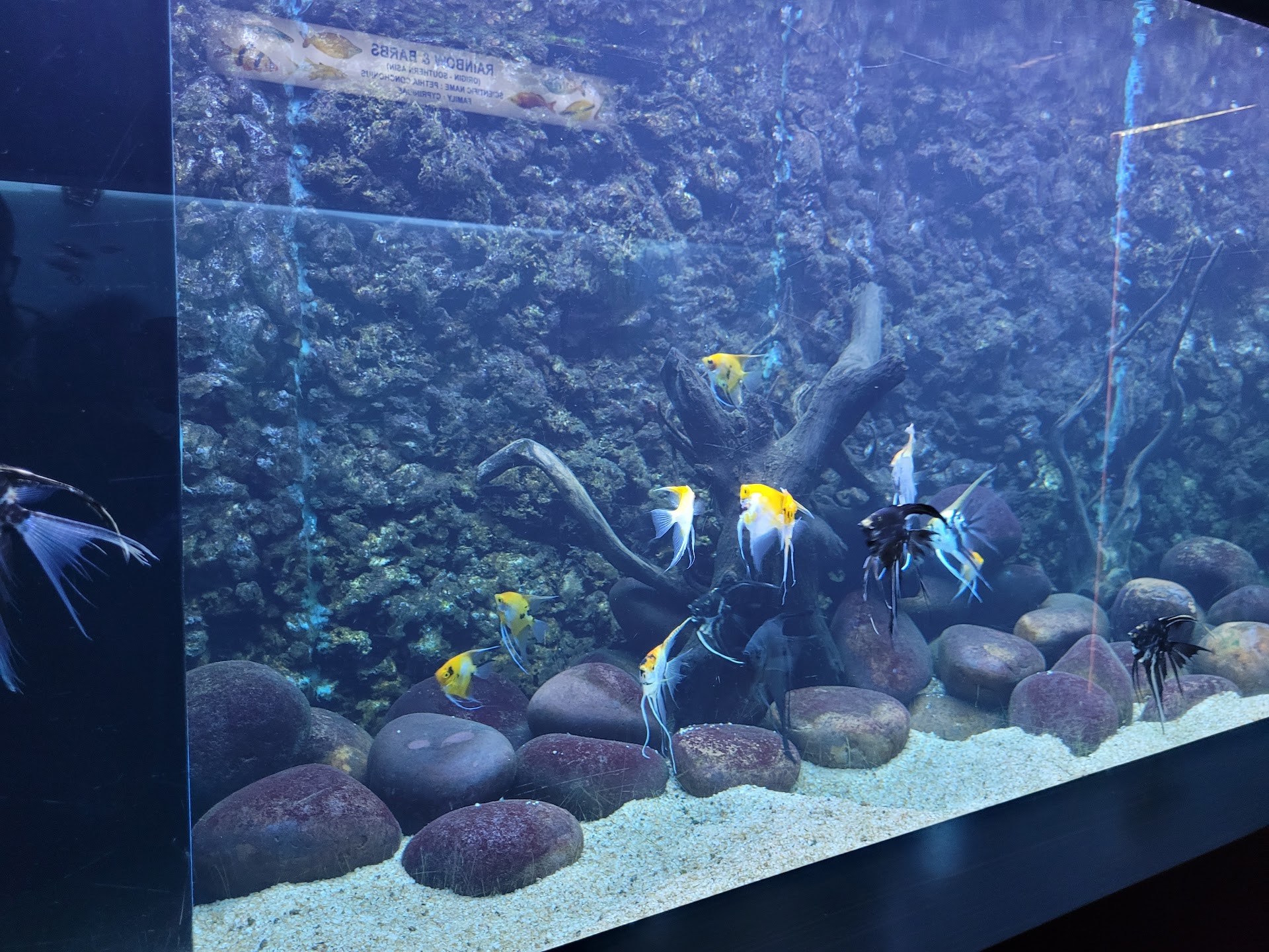 Aquarium maritime museum in Odisha, India - reviews,open hours