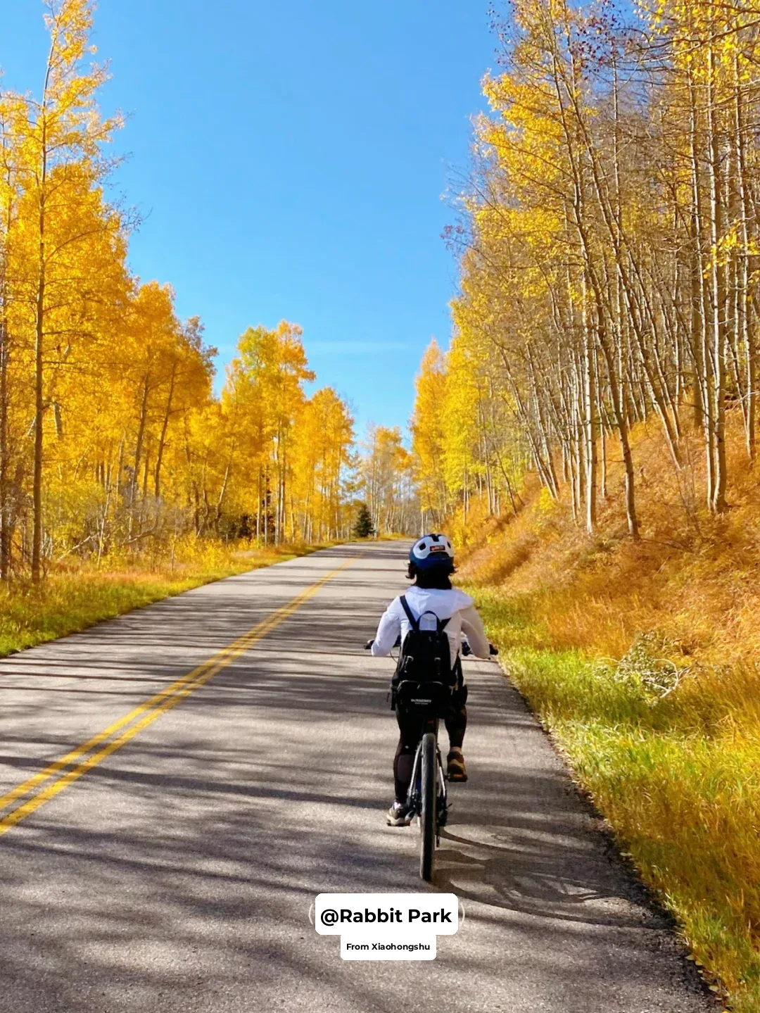 🇺🇸 Autumn Travel Guide to Golden Aspen (Part 1): Accommodation & Transportation