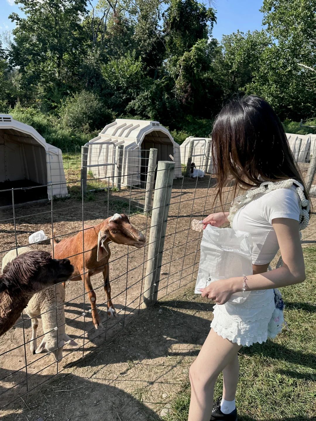 "Weekend Vibes ~☀️🦙🍑~"