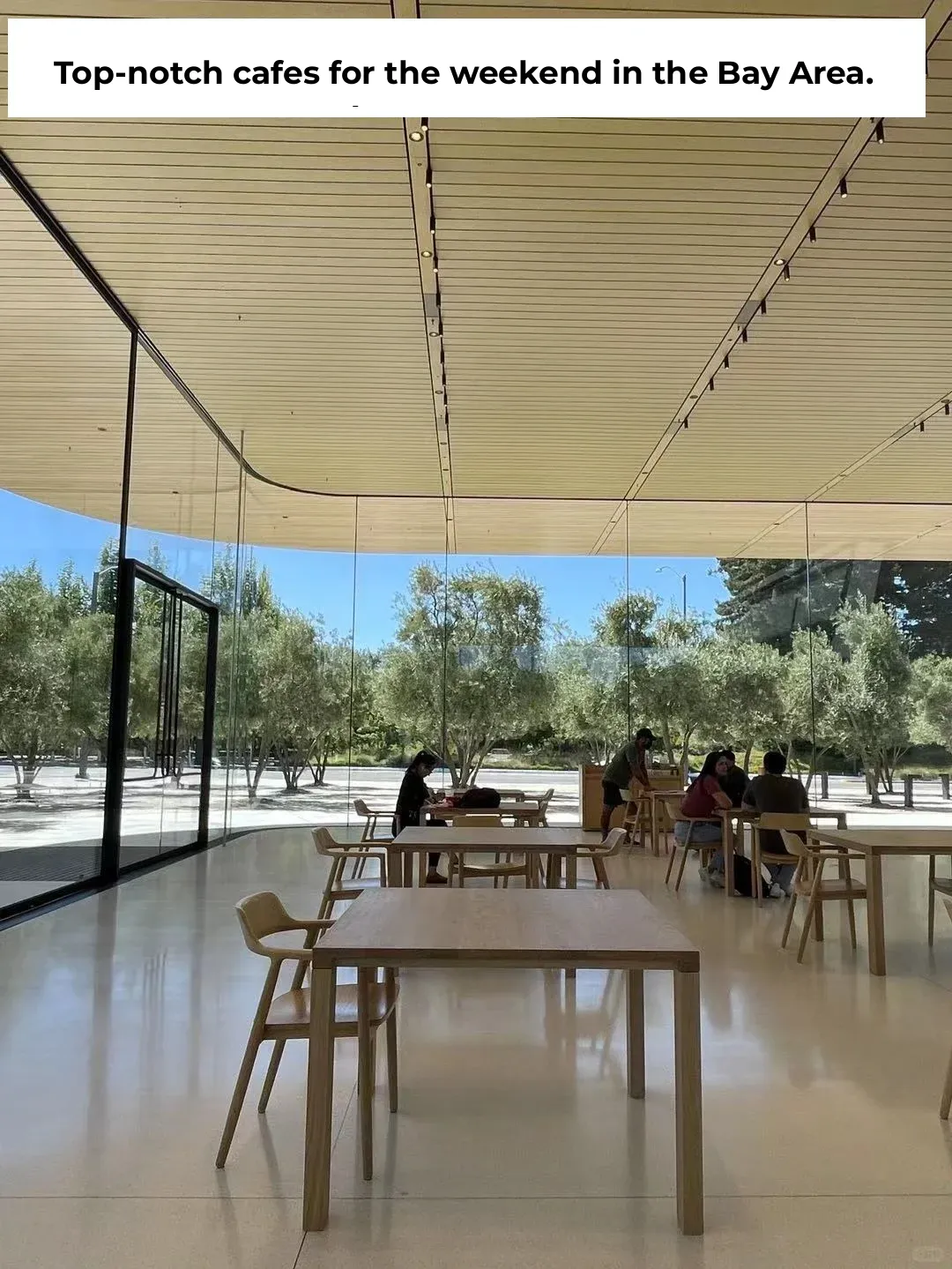 Bay Area Gems | Ultra-Chic Cafés