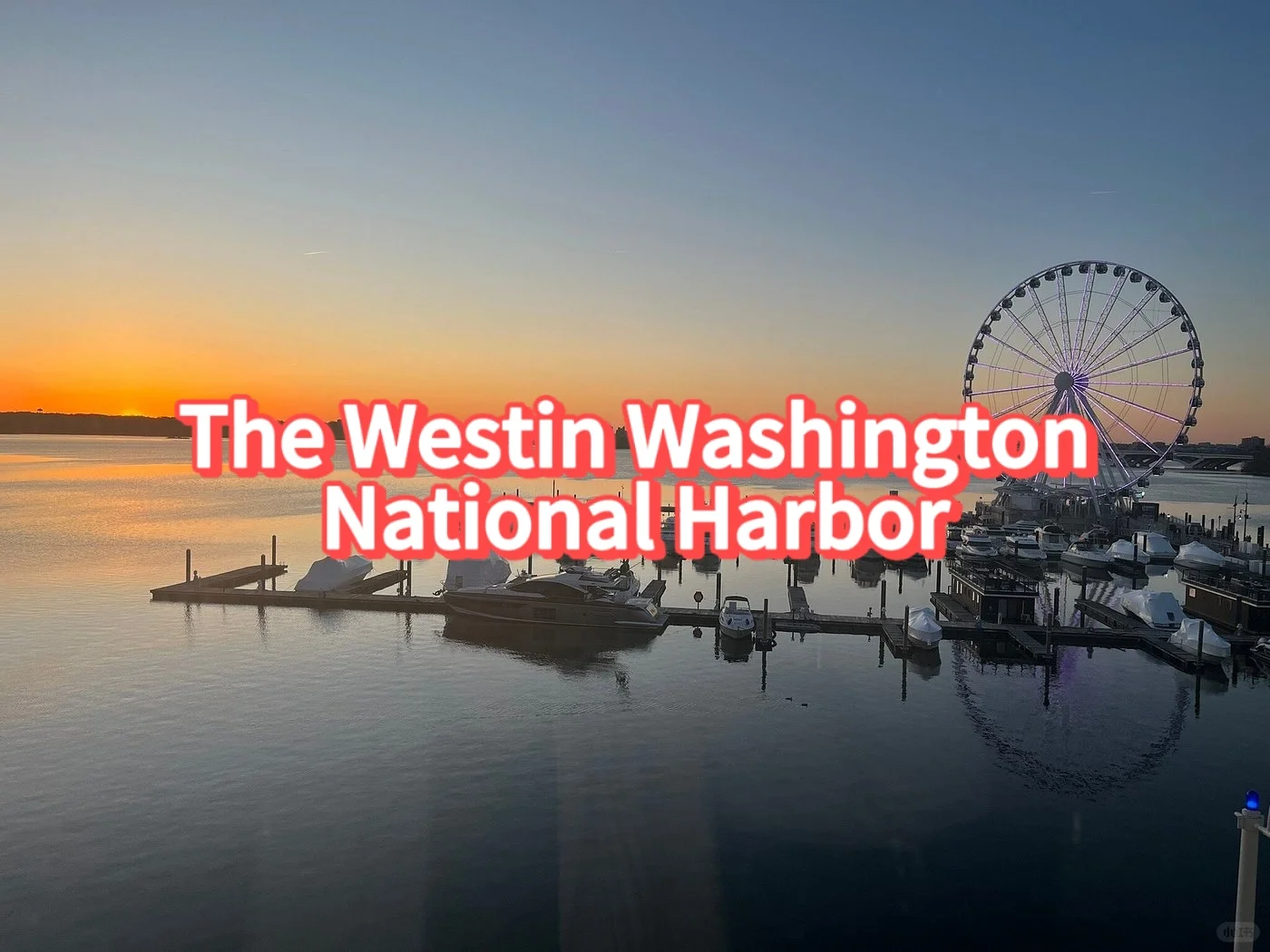 Tranquil Luxury Along the Potomac River