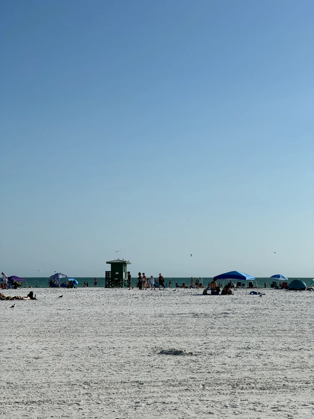 🏝️ How to Spend 5 Days & 4 Nights in Tampa