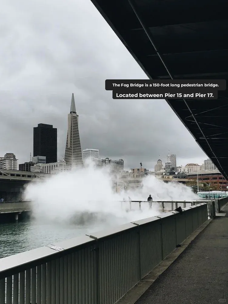 Bay Area Must-Visit | The Fog Bridge That's Super Photo-Worthy 📸 - Don't Miss It!