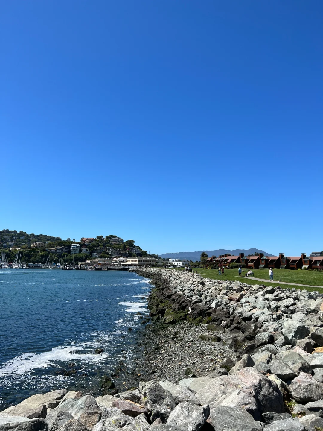 2024 Bay Area Stroll: Exploring Tiburon