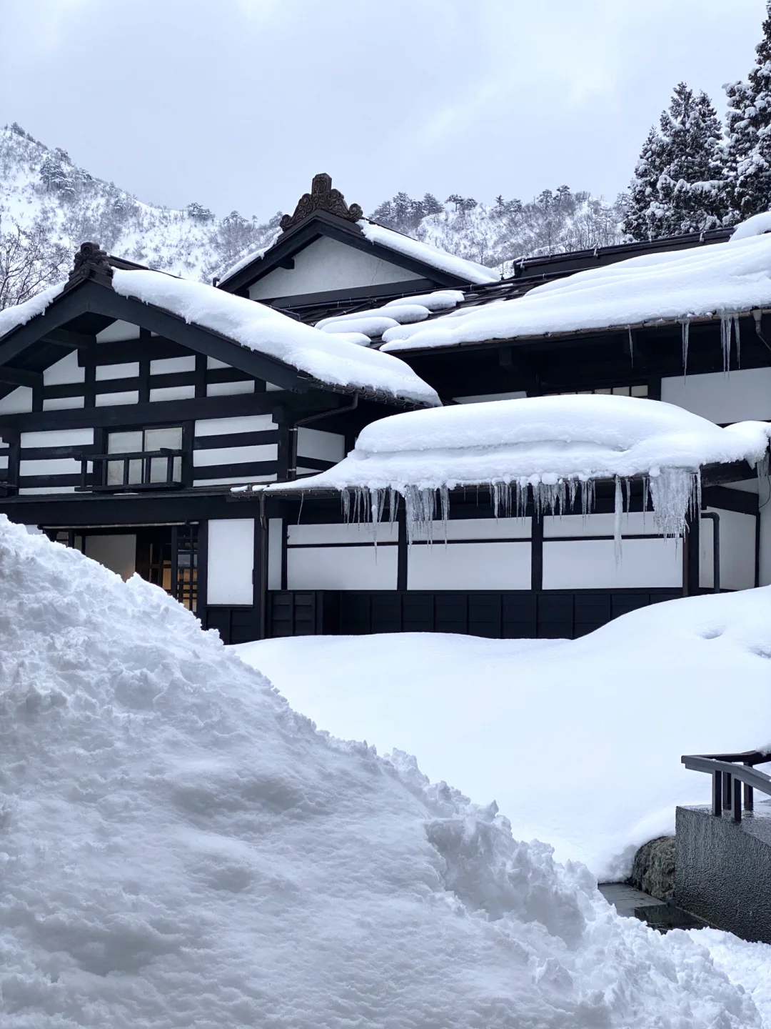 🇯🇵 Tokyo Area Hot Springs & Skiing | Must-Stay Hidden Gem Hotel