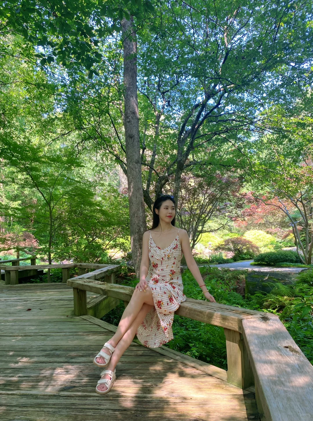 Gibbs Garden: A Japanese-Inspired Oasis in Atlanta