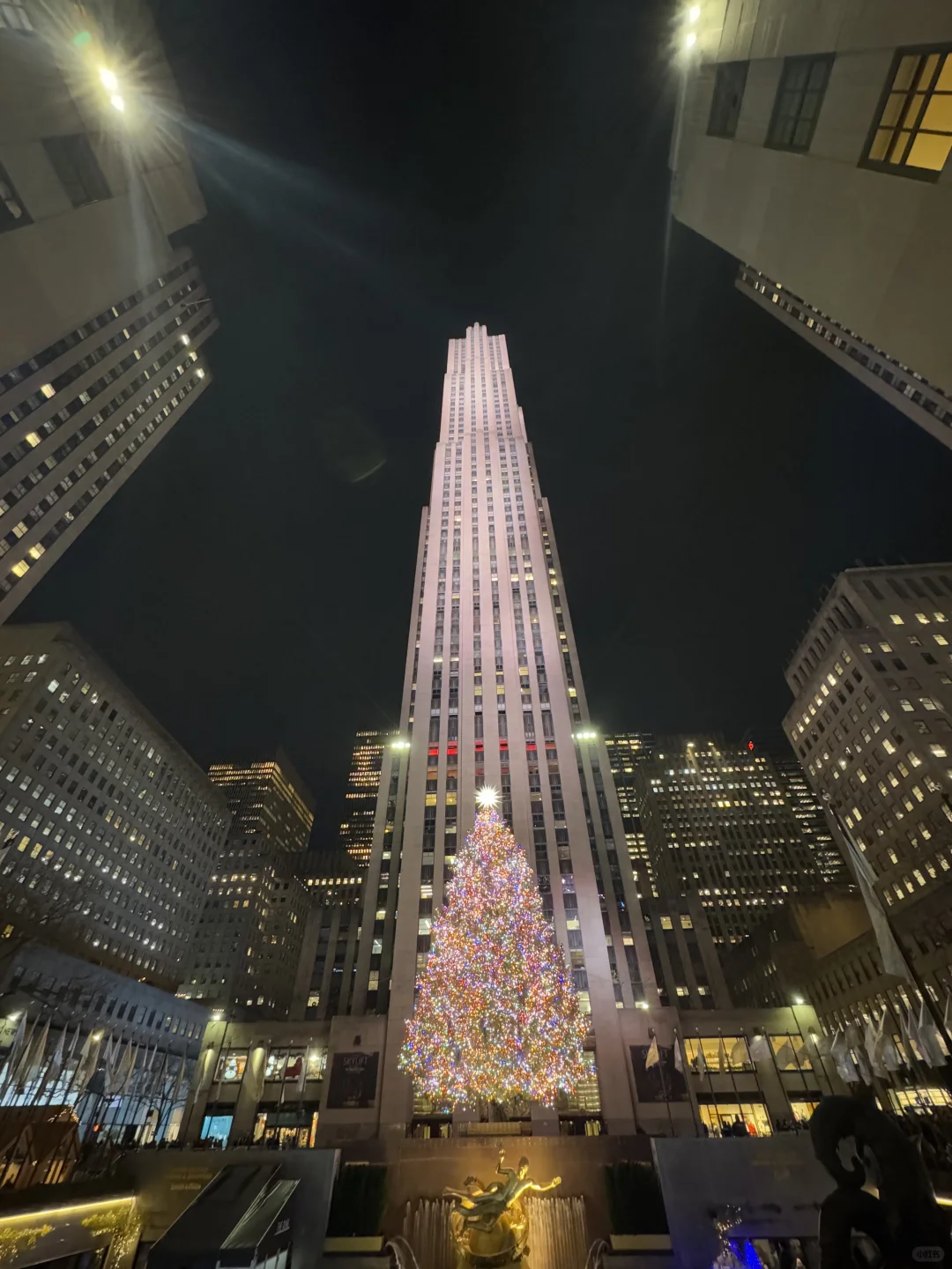 6 Must-See Christmas Trees in New York City to Get You in the Holiday Spirit! 🎄