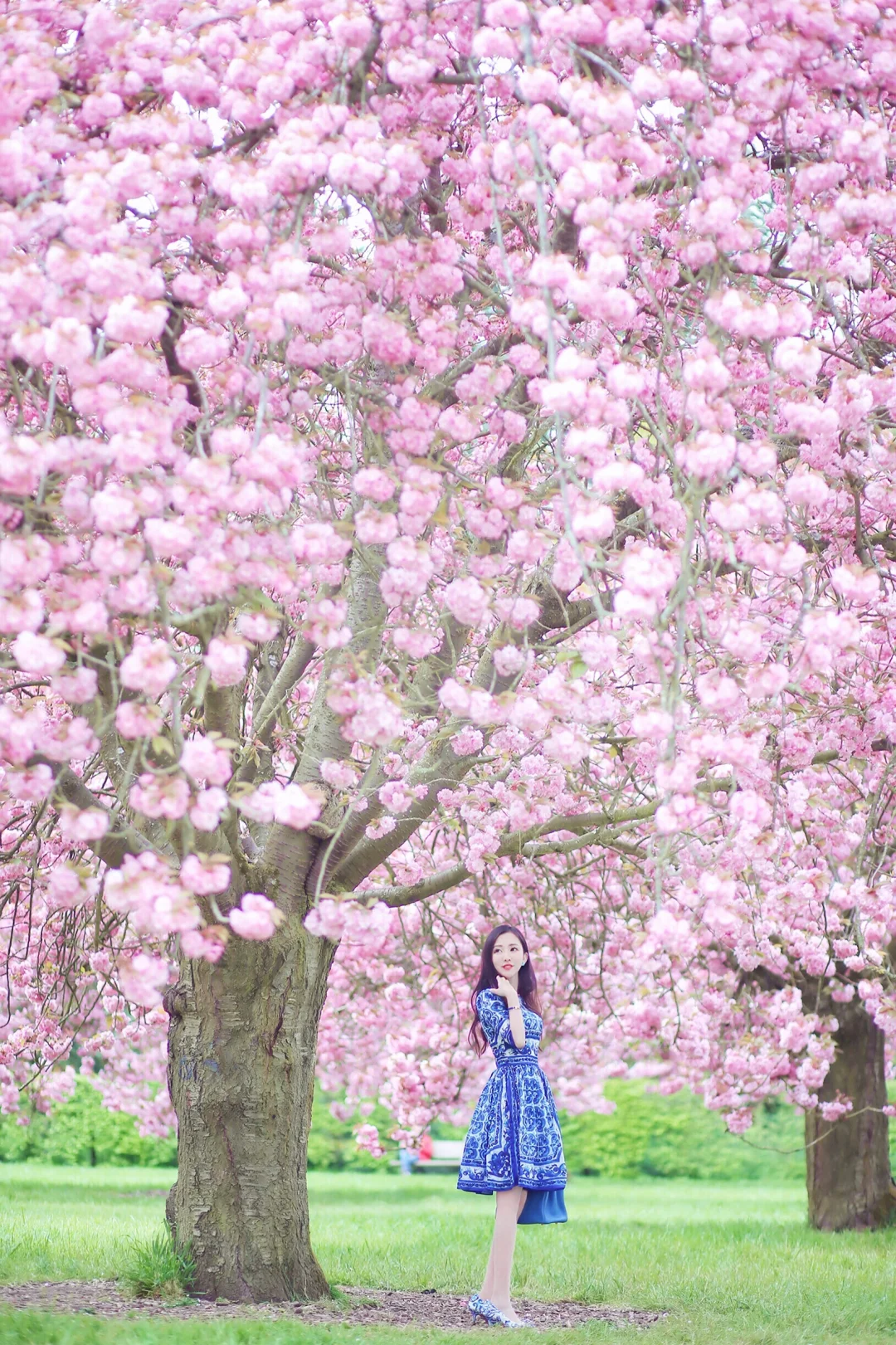 Travel Diary 🇫🇷 Northern France Road Trip Day 1 🇫🇷 Paris Cherry Blossom Season · Parc de Sceaux