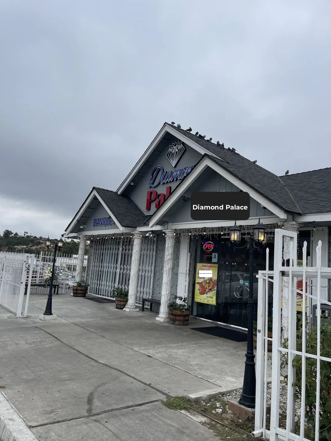 San Diego's Viral Breakfast Spot: Diamond Palace Cantonese Tea Restaurant