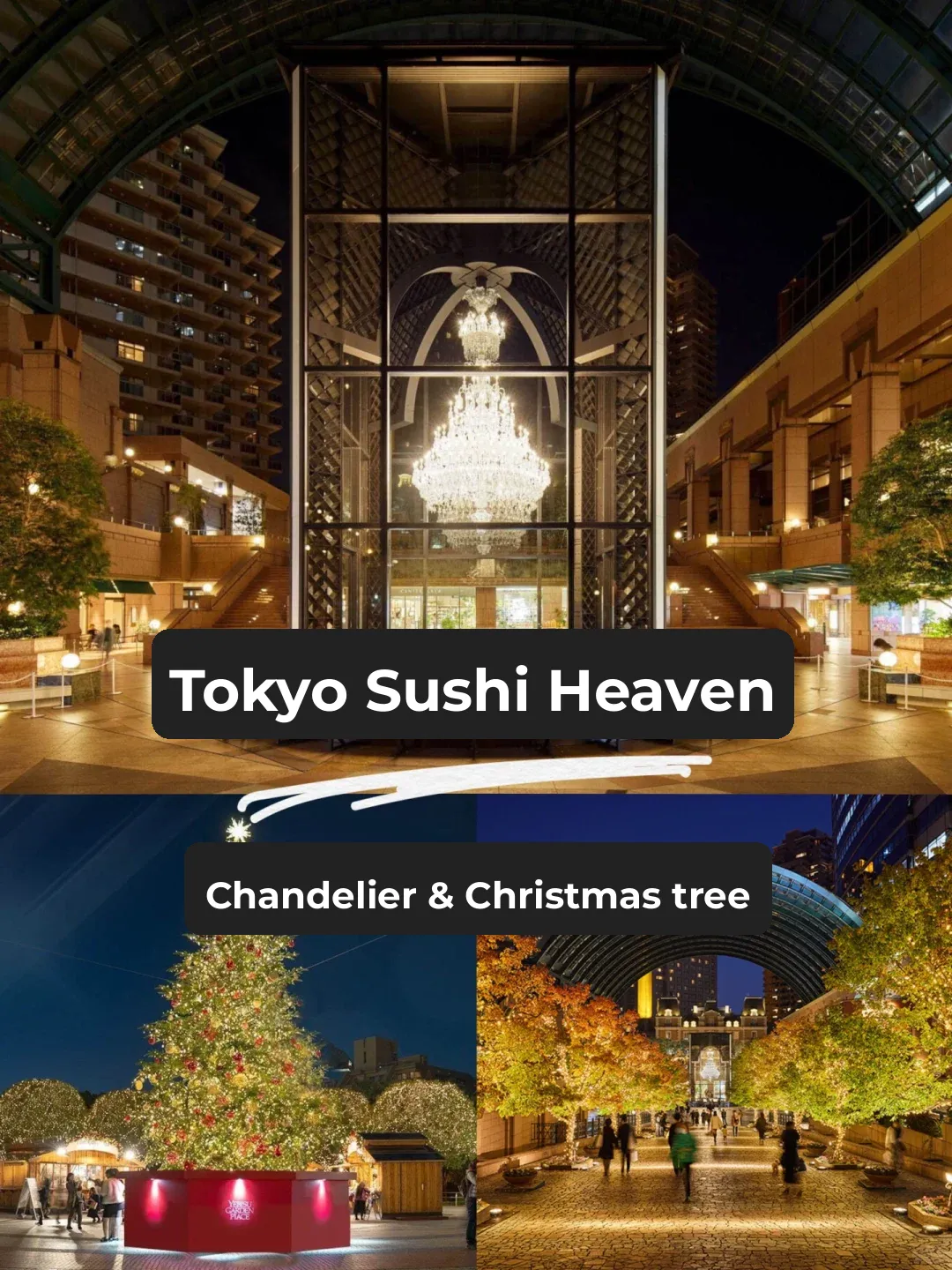 Japan Travel | Ebisu's Christmas Crystal Chandelier and Christmas Tree Are Back