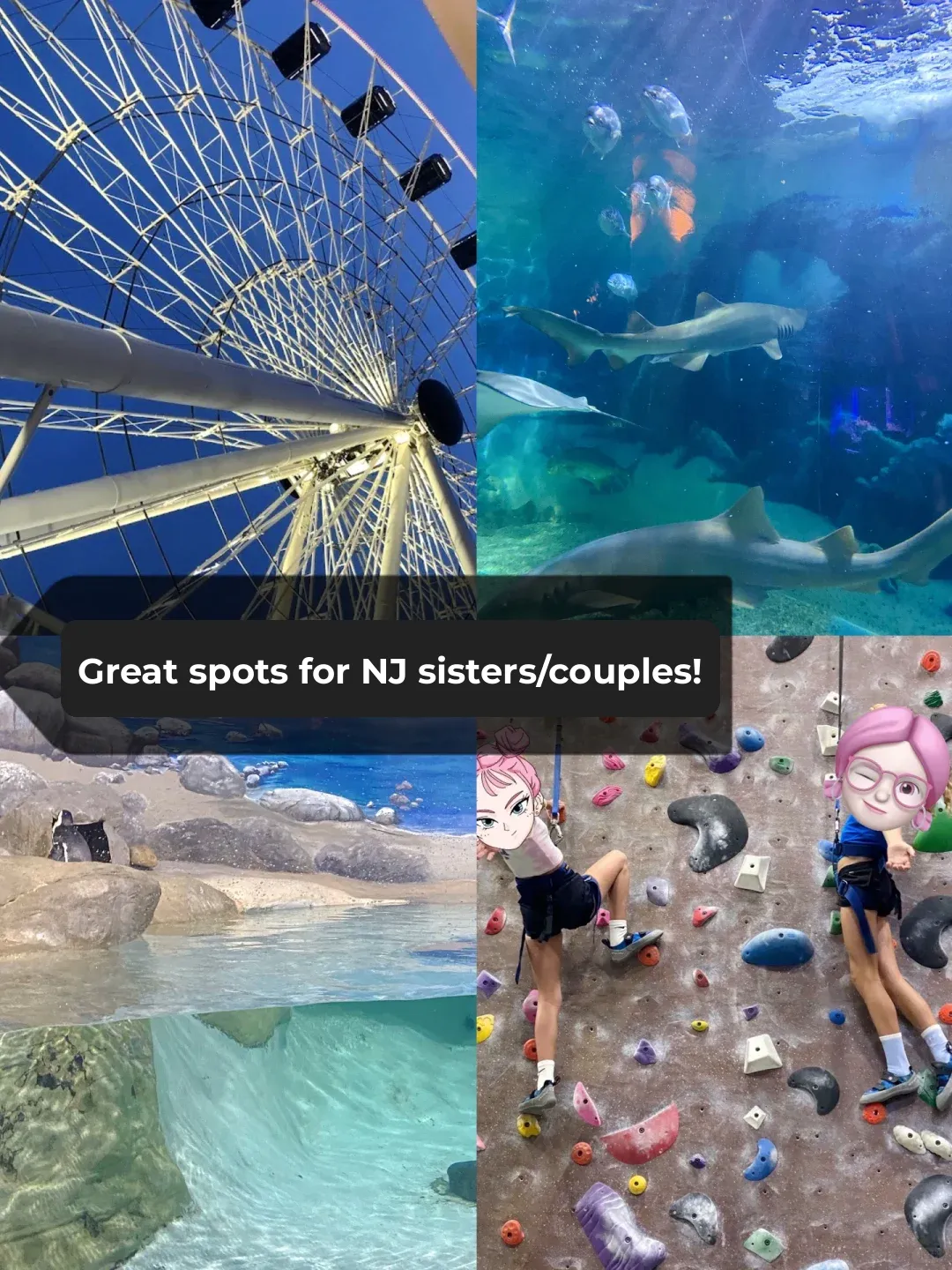 Indoor Spots in Jersey｜Perfect for Girls' Night Out and Date Nights 💑