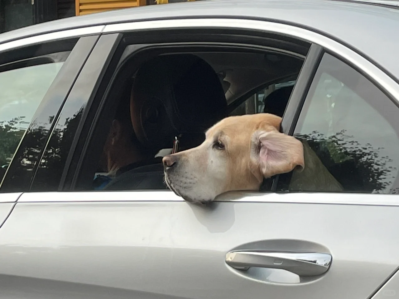 All the Cool Indoor Activities in Seattle!