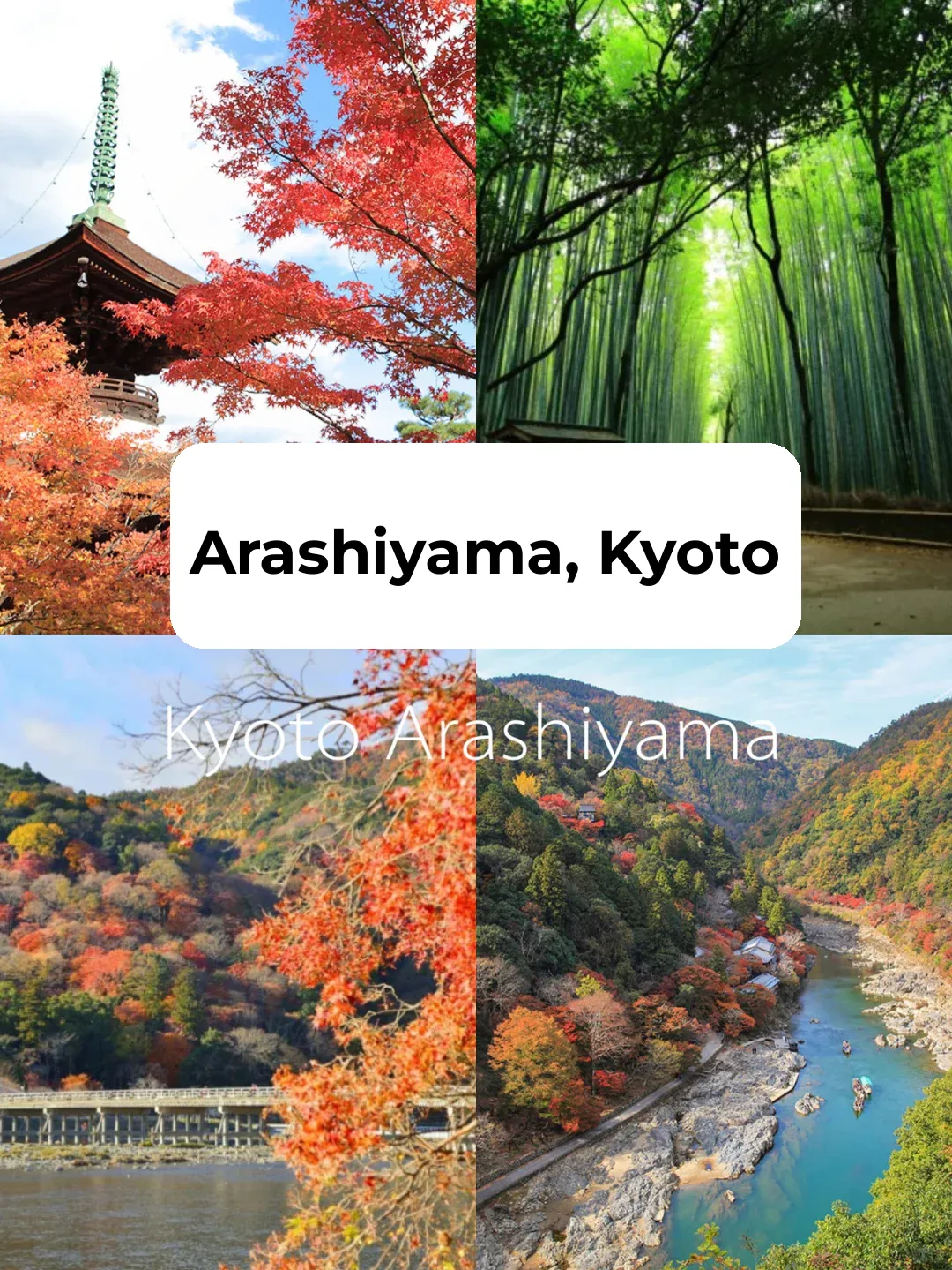 Ultimate Kyoto Itinerary: Off-the-Beaten-Path & Must-See Spots! Arashiyama Edition 🎋