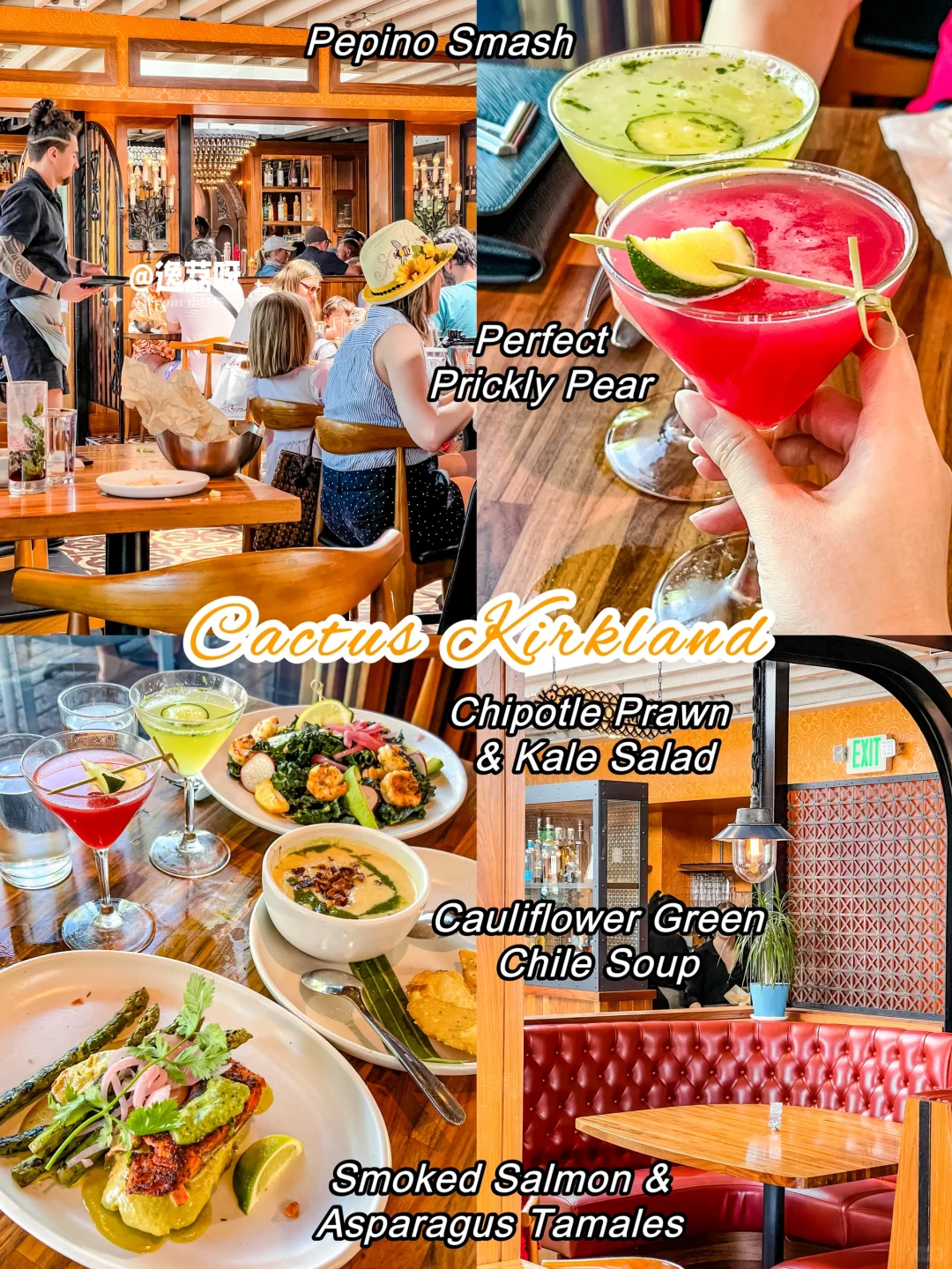 🇺🇸 Seattle | Kirkland Cactus🌵 A Vibe-Filled Mexican Dining Experience