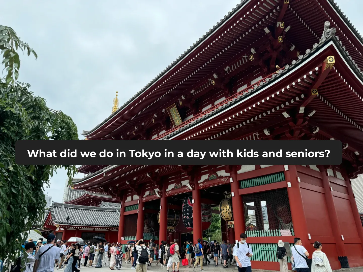 What Did We See in Tokyo in One Day with Kids and Elders?