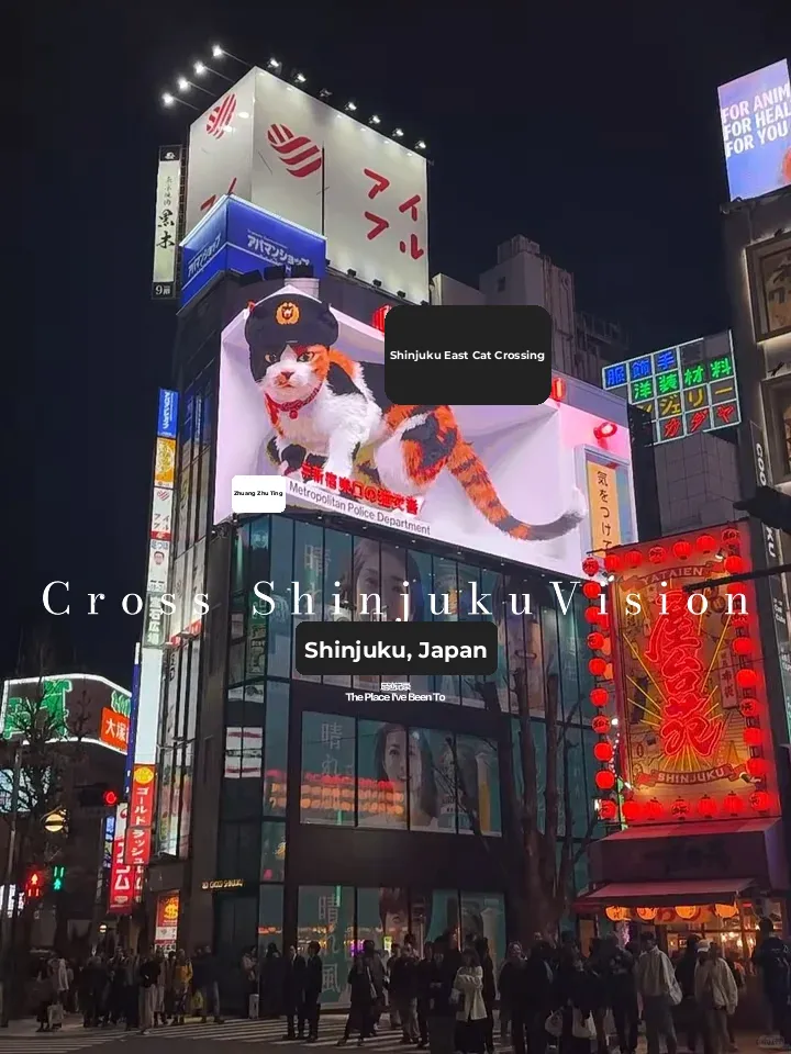 Shinjuku Cat 🐈 Caught in Broad Daylight…