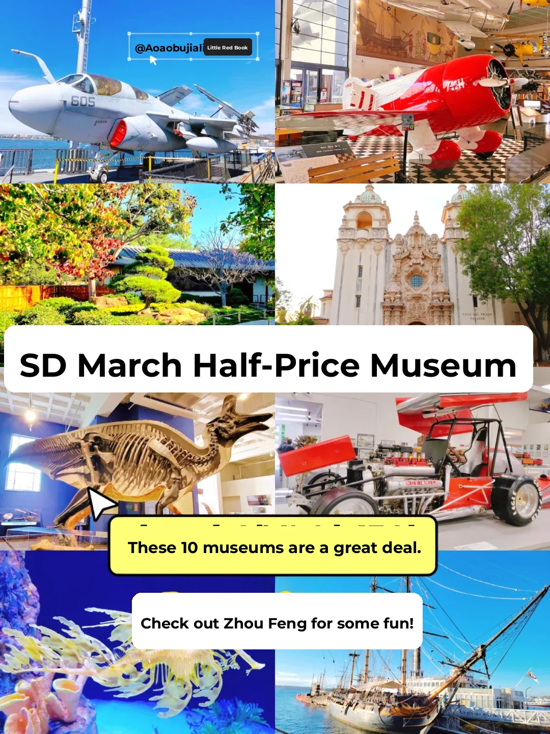 Half-Price Museum Tickets in San Diego This February – These 10 Are Must-Visits! 🎫‼️