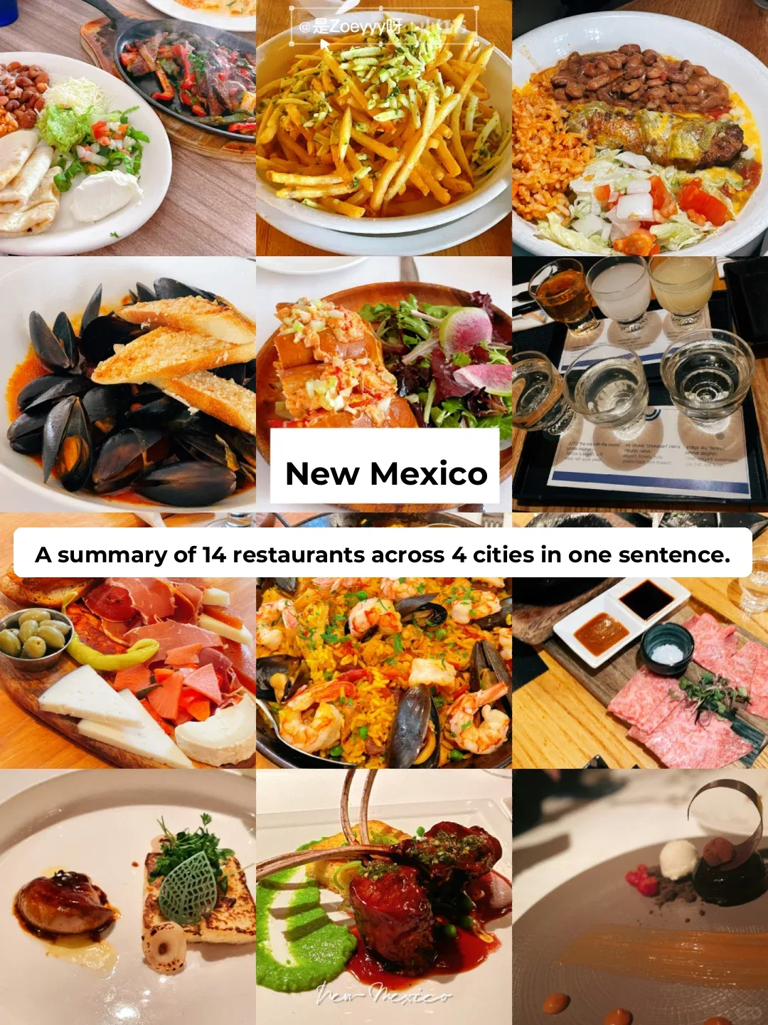 **New Mexico | A One-Sentence Summary of 14 Restaurants Across 4 Cities**