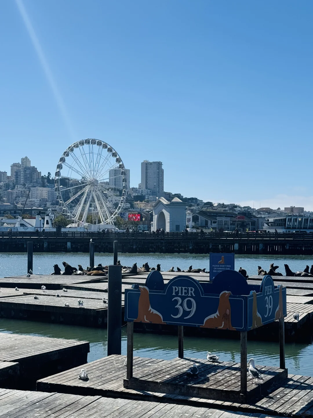 This Way of Exploring San Francisco's Fisherman's Wharf is Totally Chill!