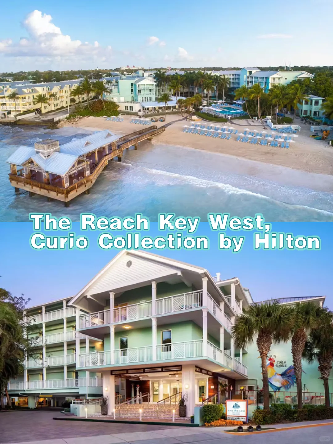 Don't Know Where to Stay in Key West? Read This and Save Money❗