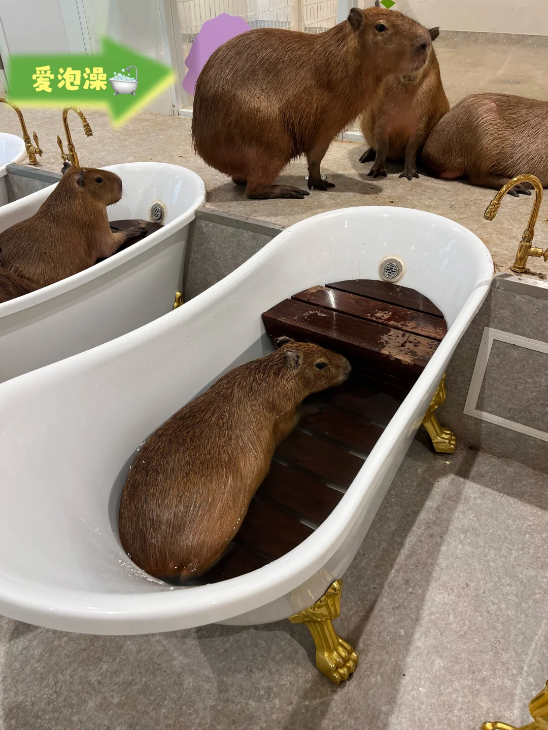 🇯🇵 Tokyo's Hidden Playground!!! Discovered by Me ‼️