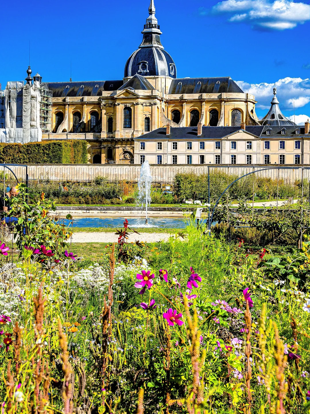 Free Entry to the Versailles King's Garden – Perfect for Photos and Chilling with Kids! 📸👶
