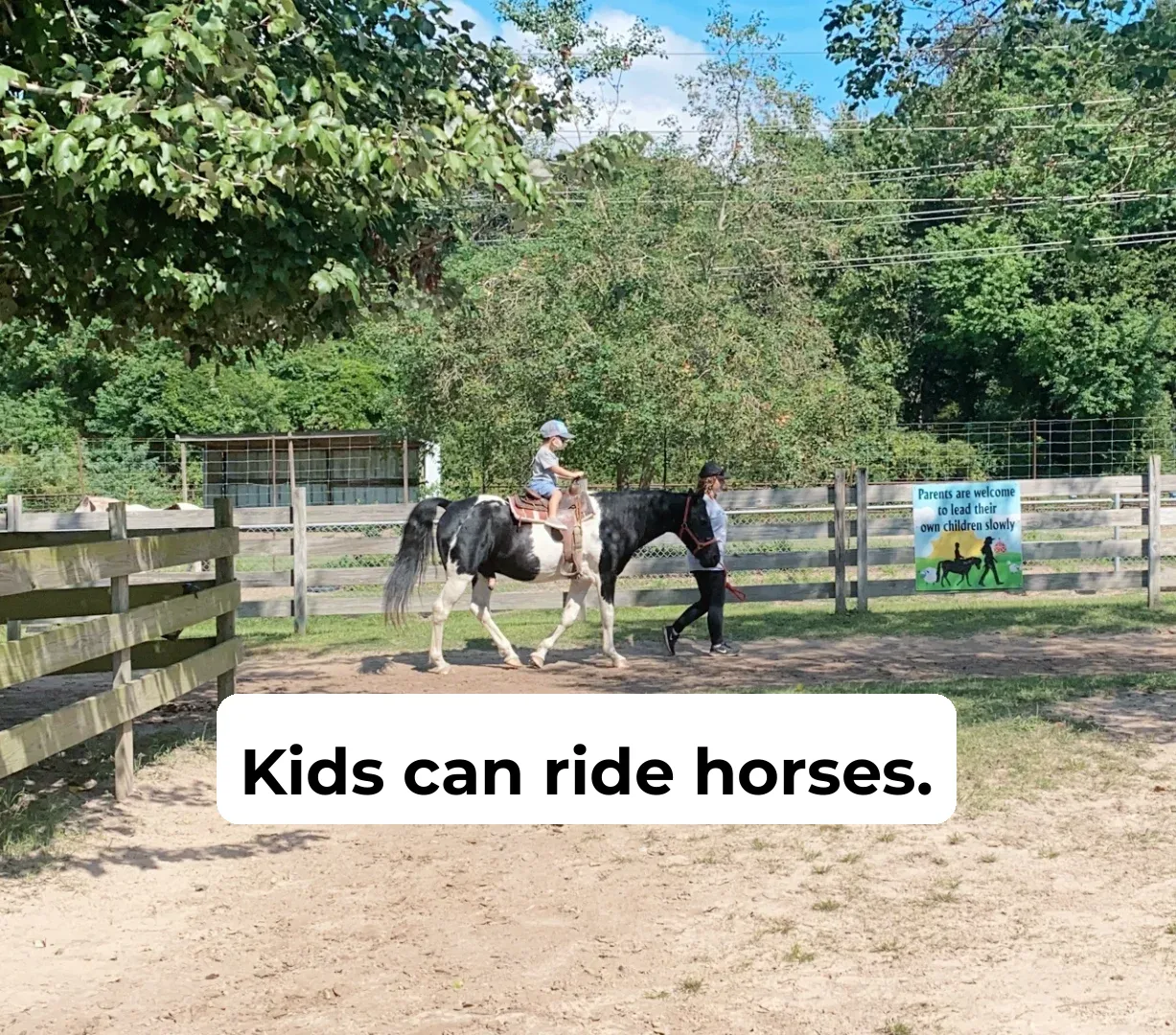 Houston Kid-Friendly Outing Recommendation｜Free Admission Plus Complimentary Pumpkin