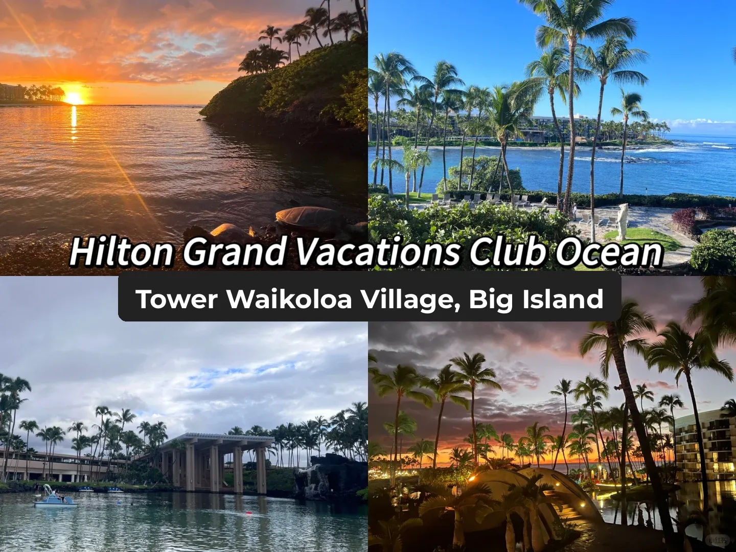 Hawaii's Ultimate Accommodation Guide (Part 1) | Tailored for All Needs