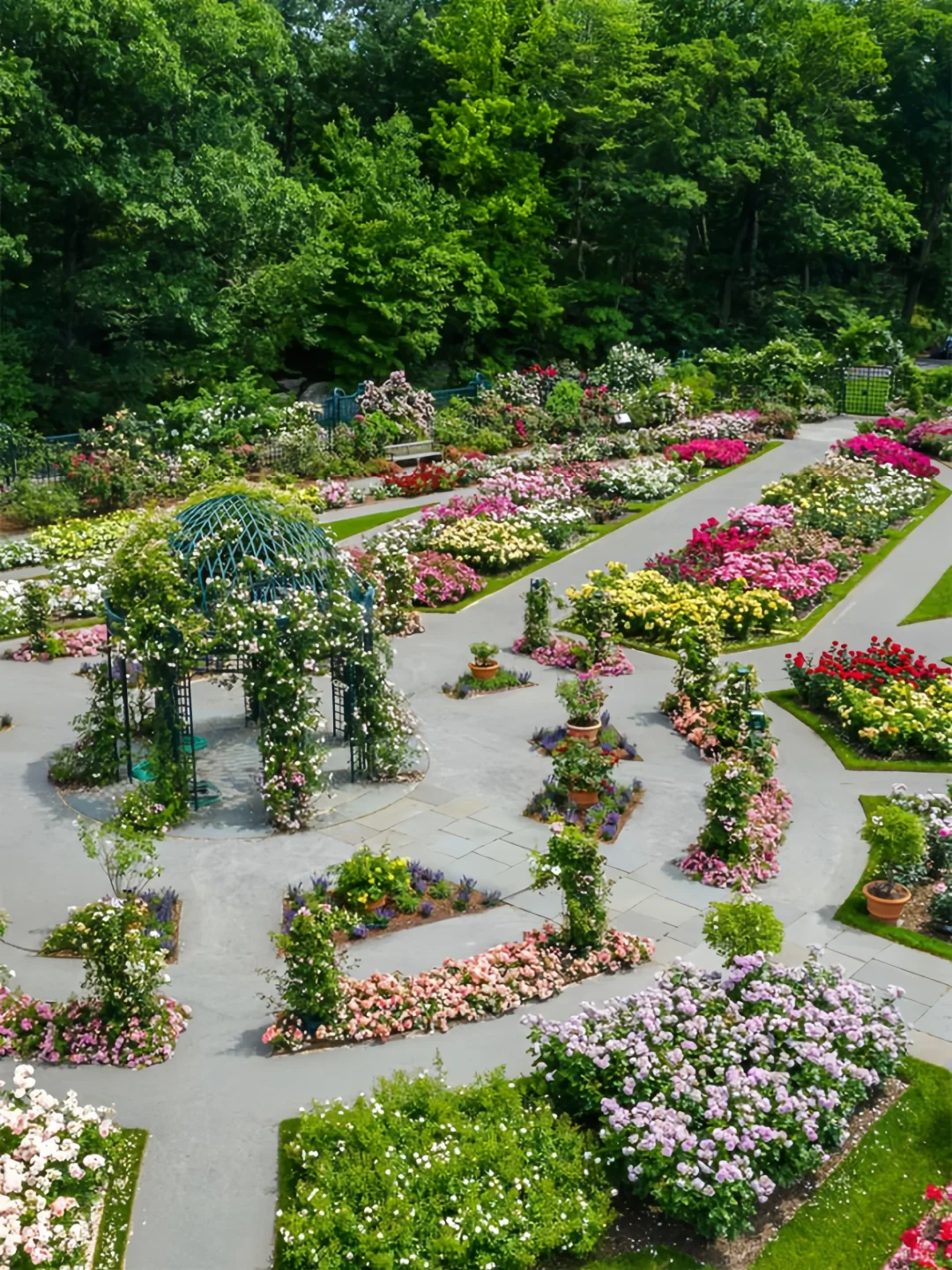 New York | 8 Must-Visit Spots for Spring Bloom 💯 No Disappointments, Hurry Up!