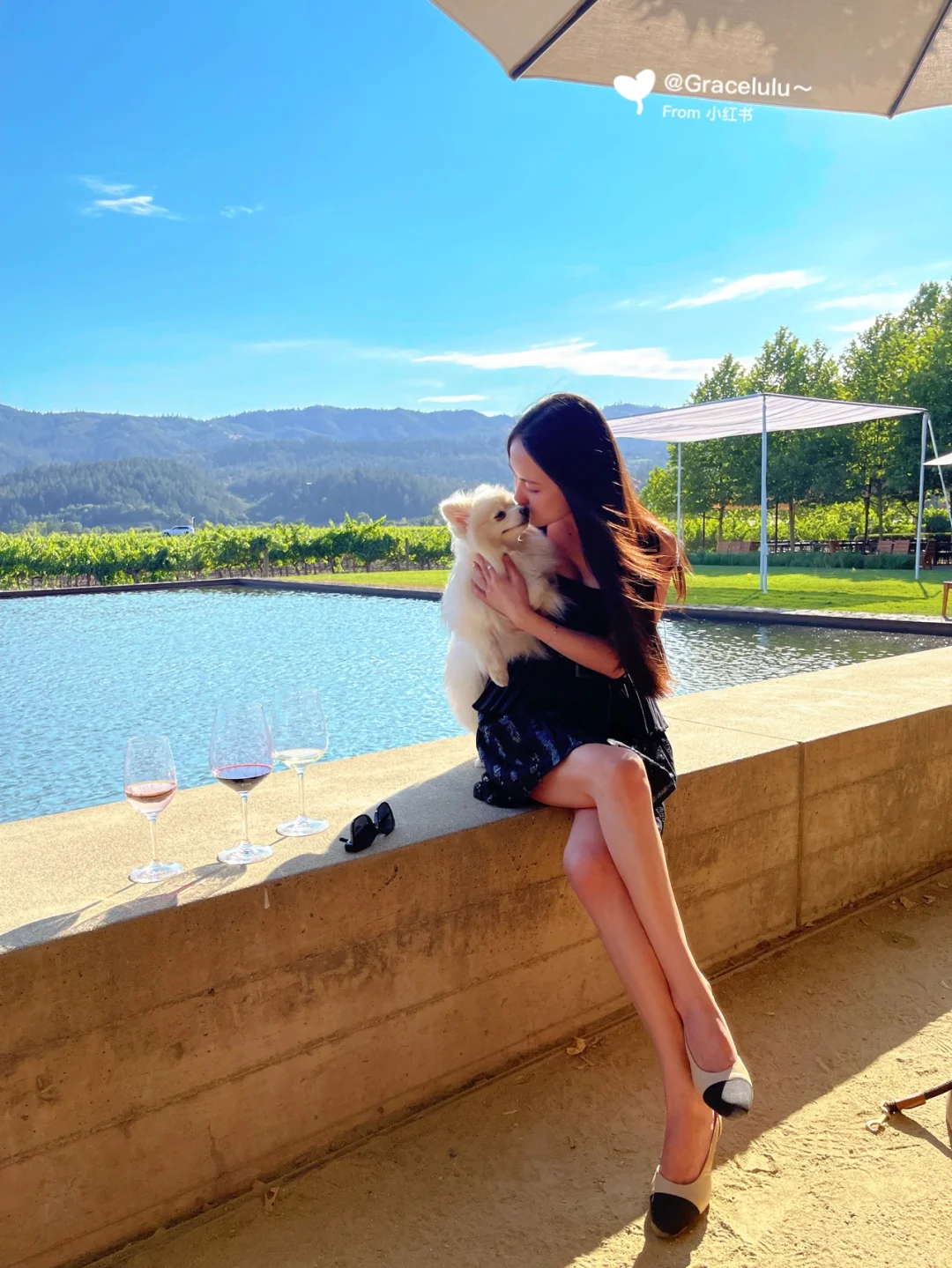 Napa Hidden Gems + Insta-Famous Fried Chicken