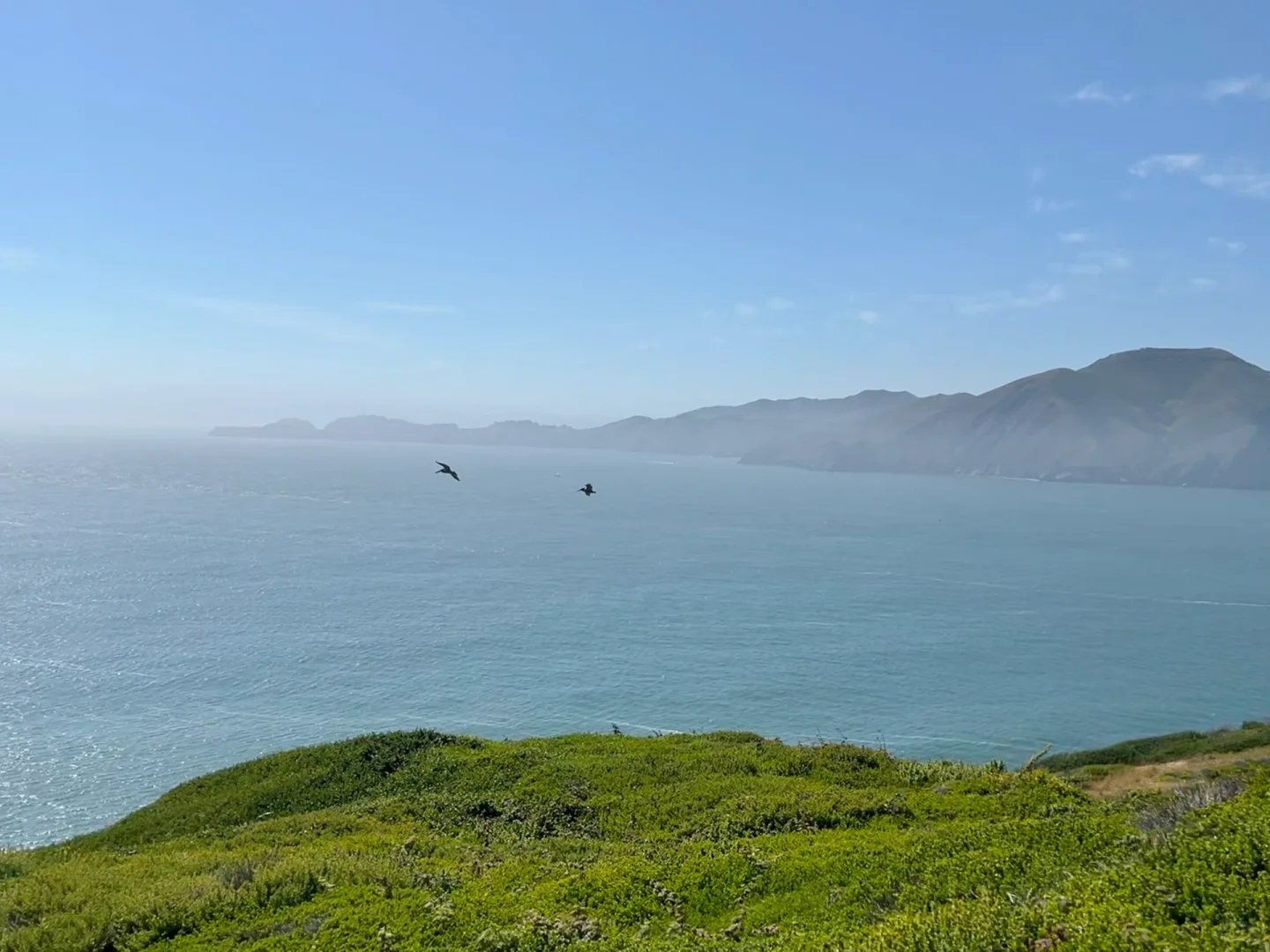 Hiked 8 km on the Presidio Trail