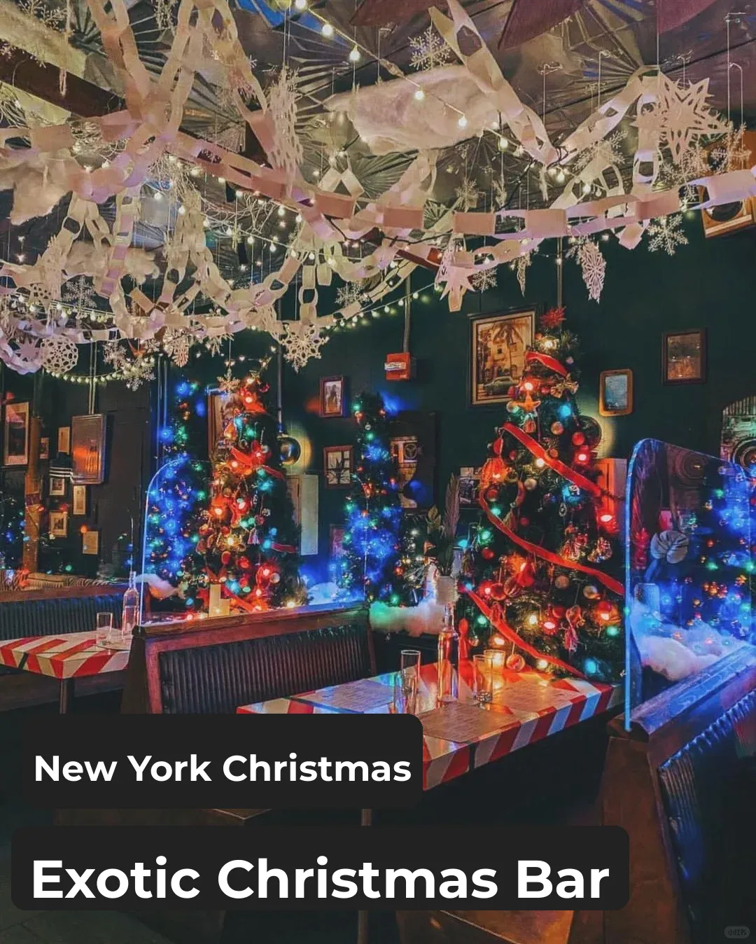 A Taste of Exotic Christmas Cheer in NYC’s Themed Bars! Sip & Savor the Holiday Spirit!