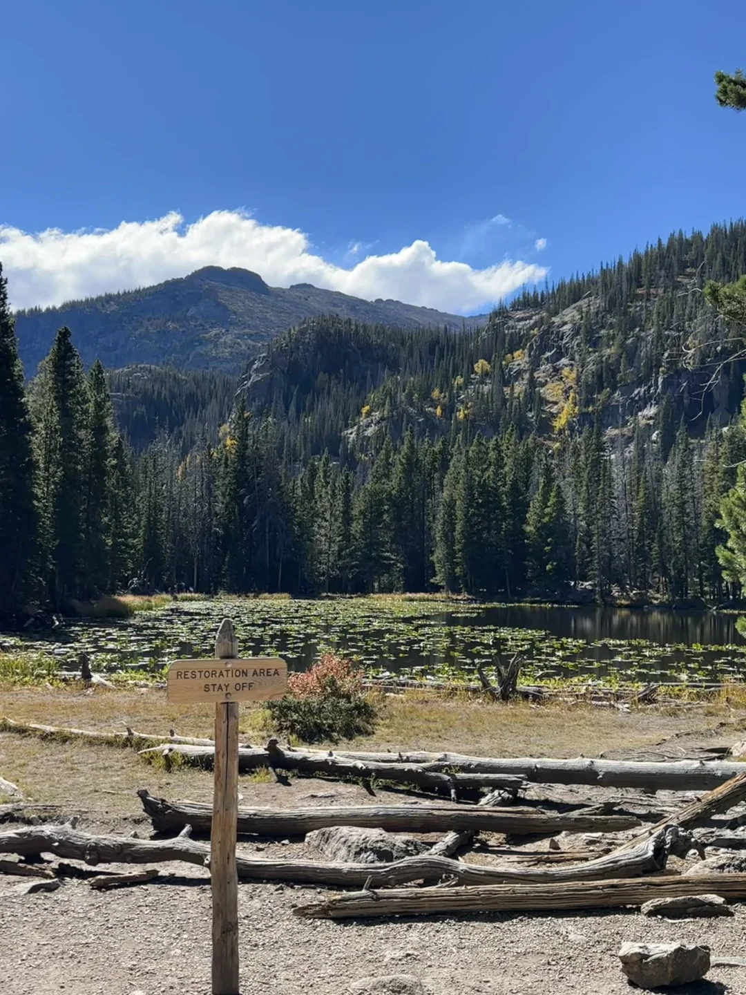 Denver | The Mile-High City at 5,280 Feet