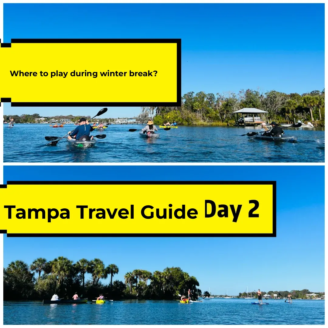 Day 2 in Tampa | Crystal River Adventure