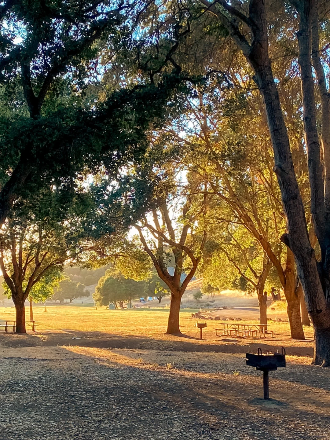 Ultimate Fun at the Park | Palo Alto's Charming Deer Park BBQ Picnic