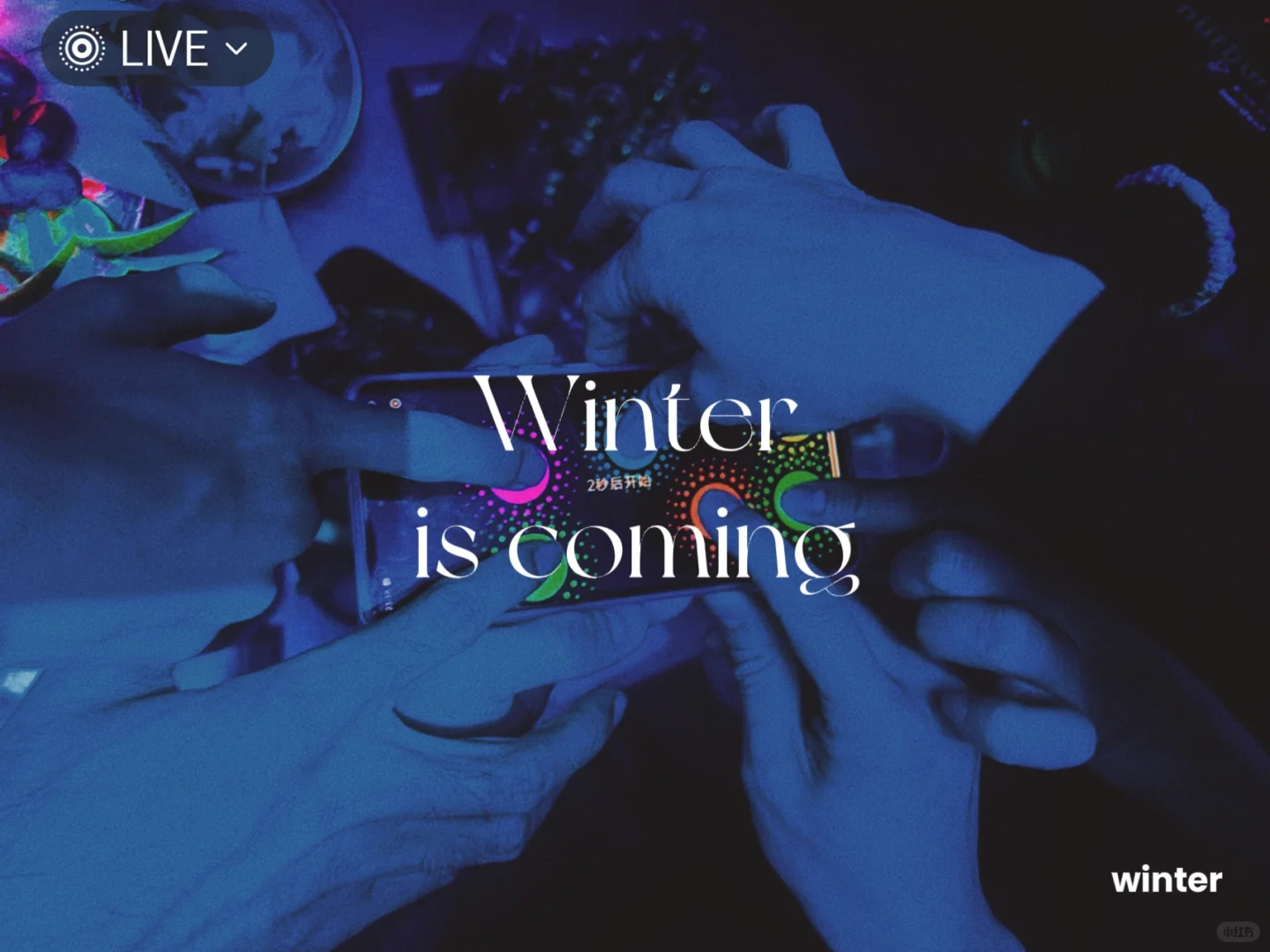 "Experiencing the Vibes of Supermiami"