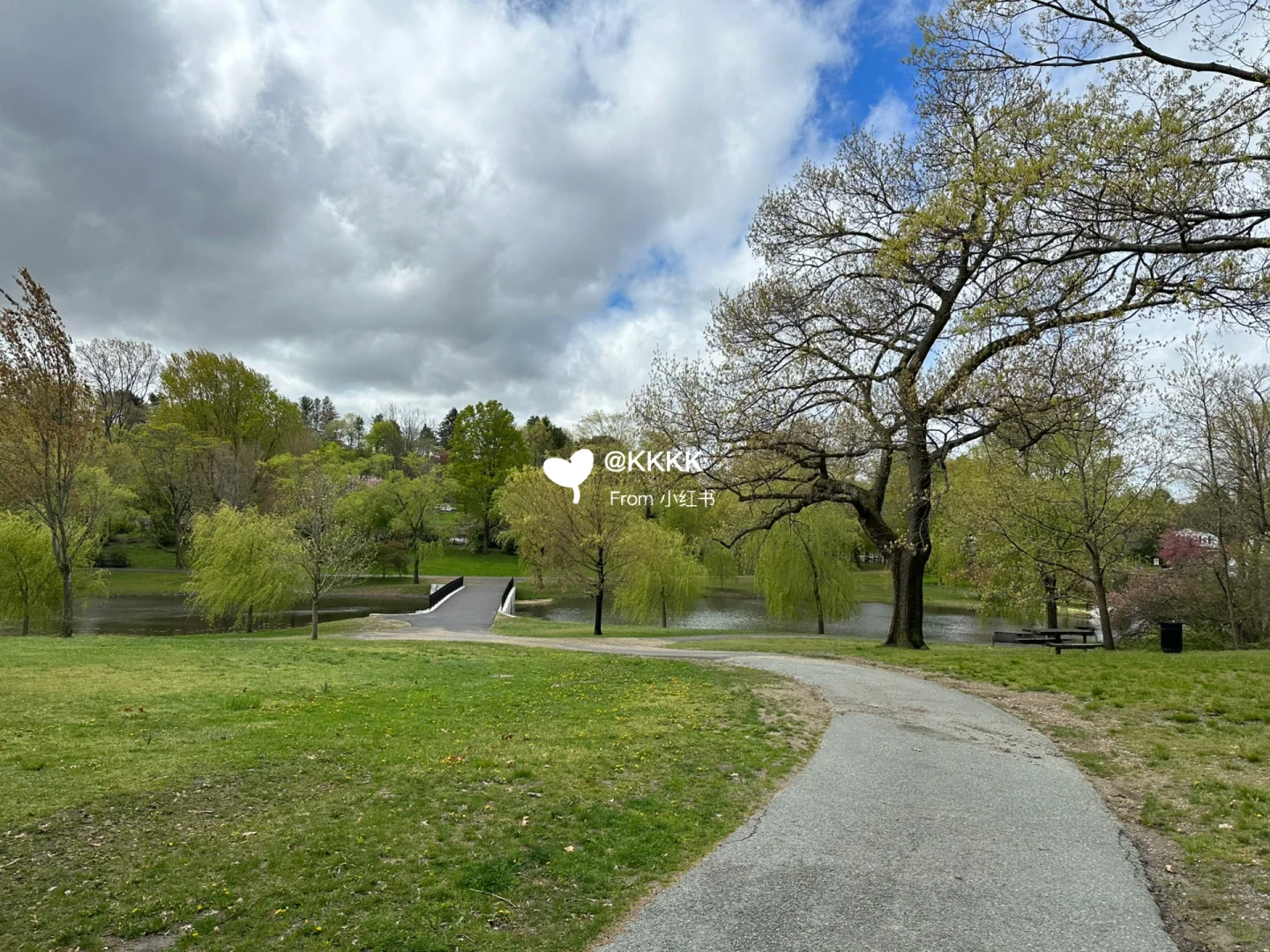 Boston with Kids: Exploring Brookline