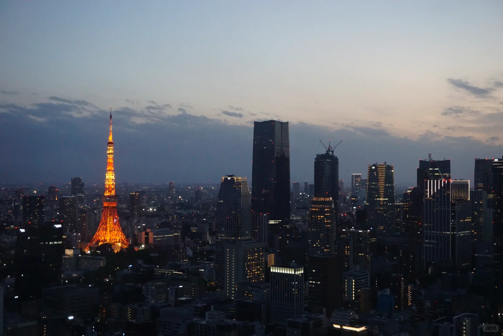 Comparison of Two Night View Restaurants in Tokyo Shiodome, Averaging Just Over 10,000 Yen per Person