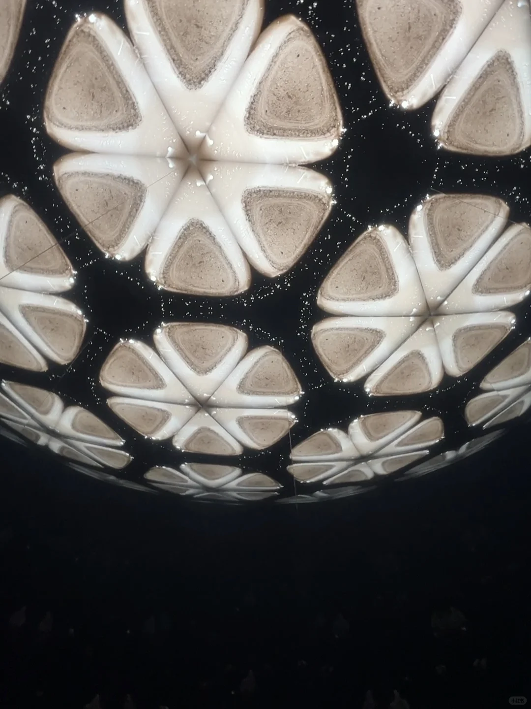 So Moved It Brought Me to Tears—Absolutely Worth a Xiaohongshu Post