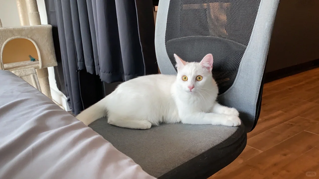 Salt Lake City Restaurant Recommendations! I Wish I Could Teleport Back Just to Eat There Again 😞