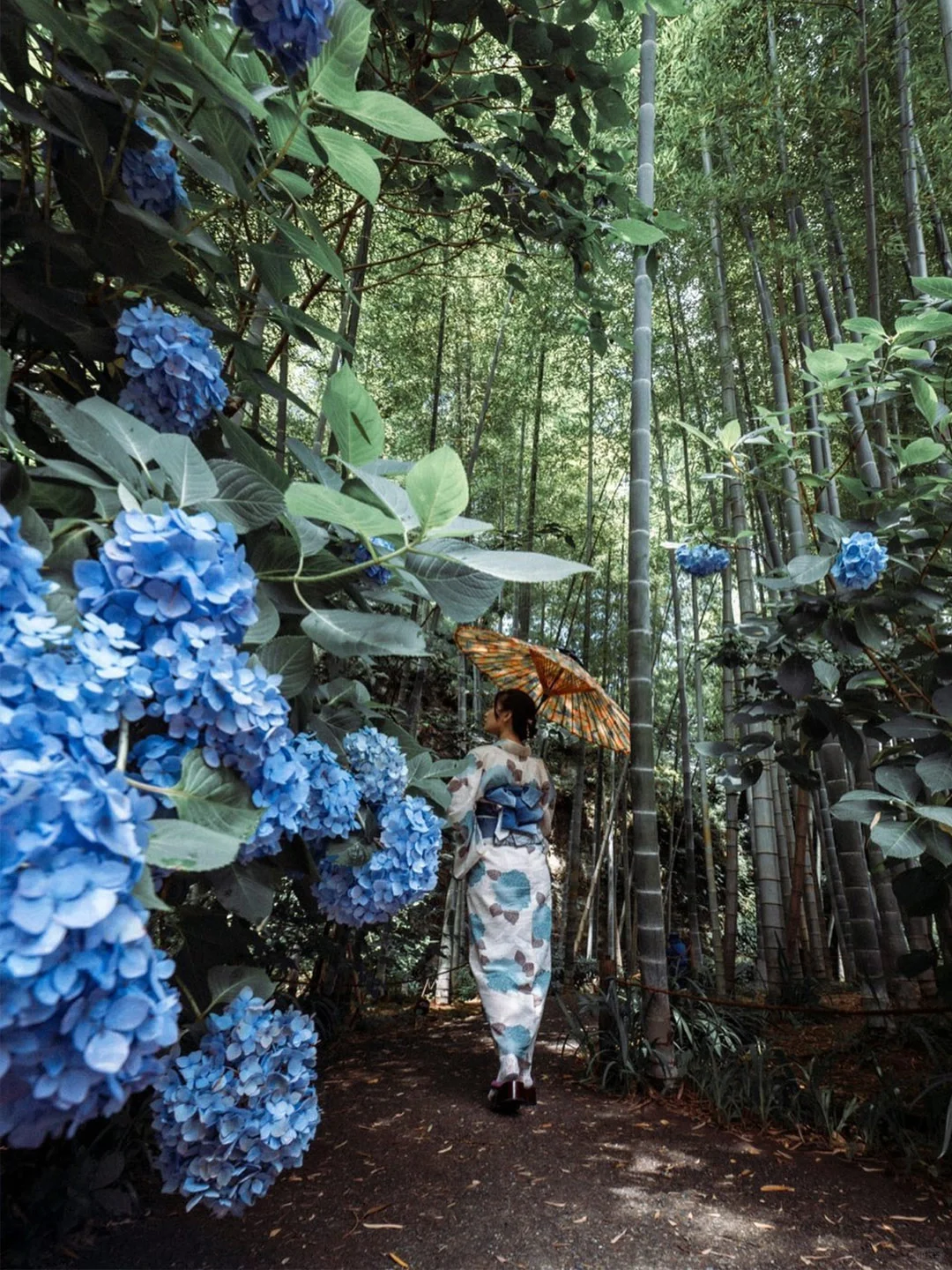Japan's Top June Travel Update: Endless Summer Flower Fields Set to Bloom Across the City