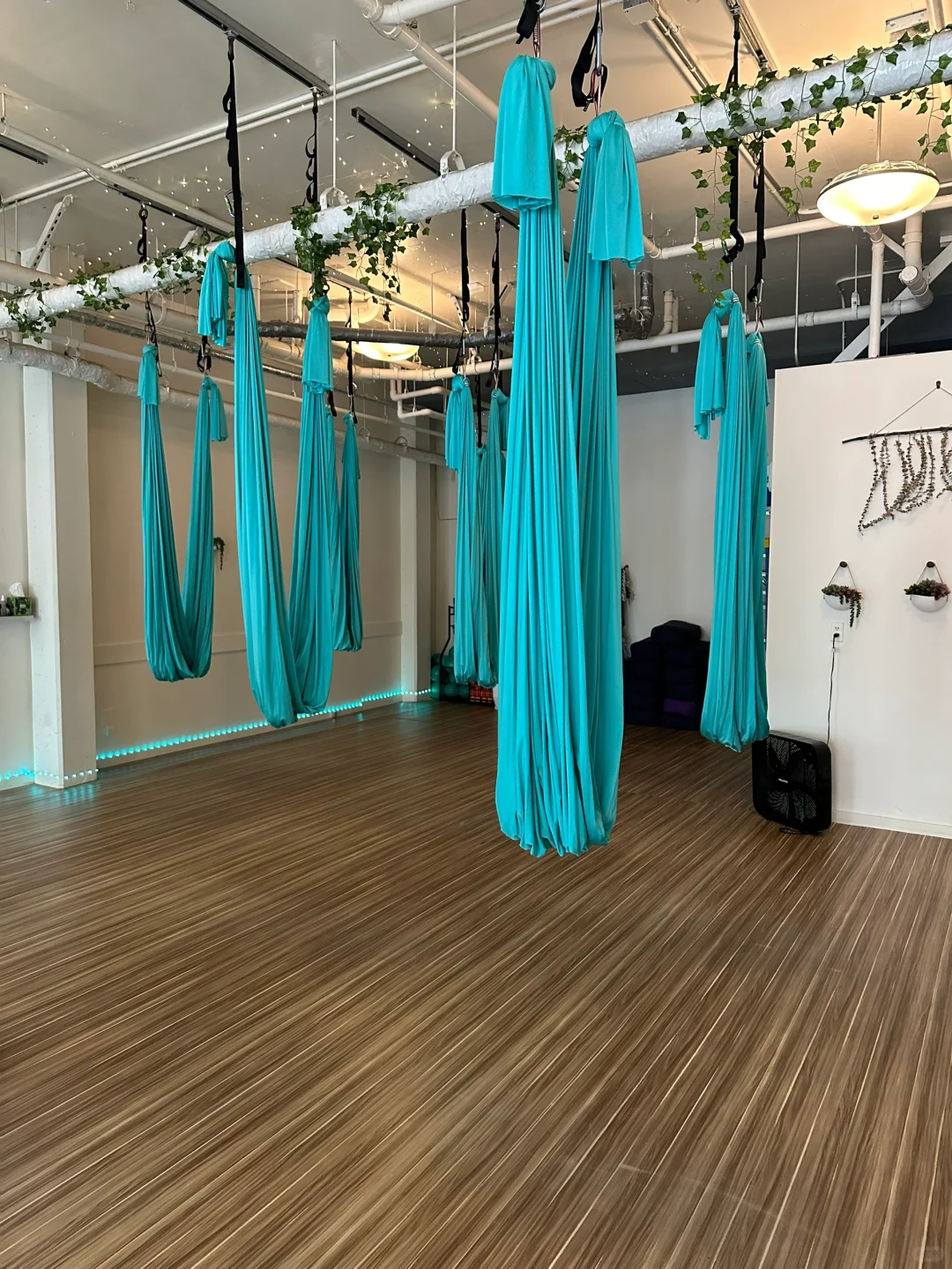 120 First-Time Aerial Yoga, Some Wall Climbing, and Running