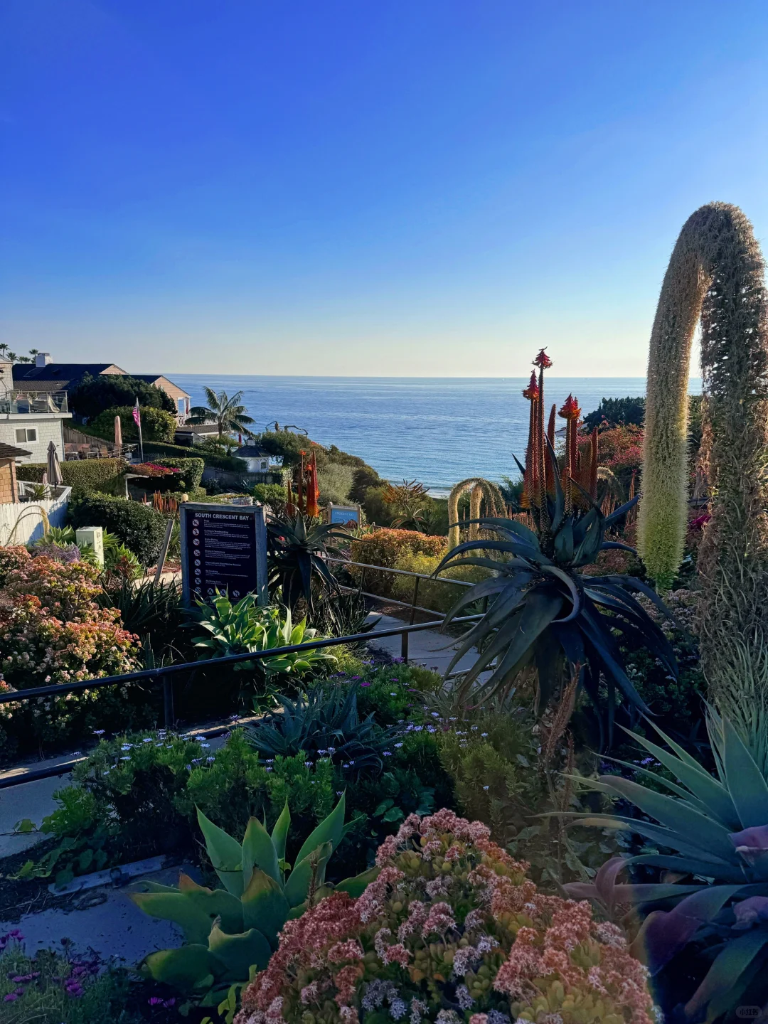 La's Ultimate Gem: Laguna Beach, Southern California's Dreamy Coastal Paradise