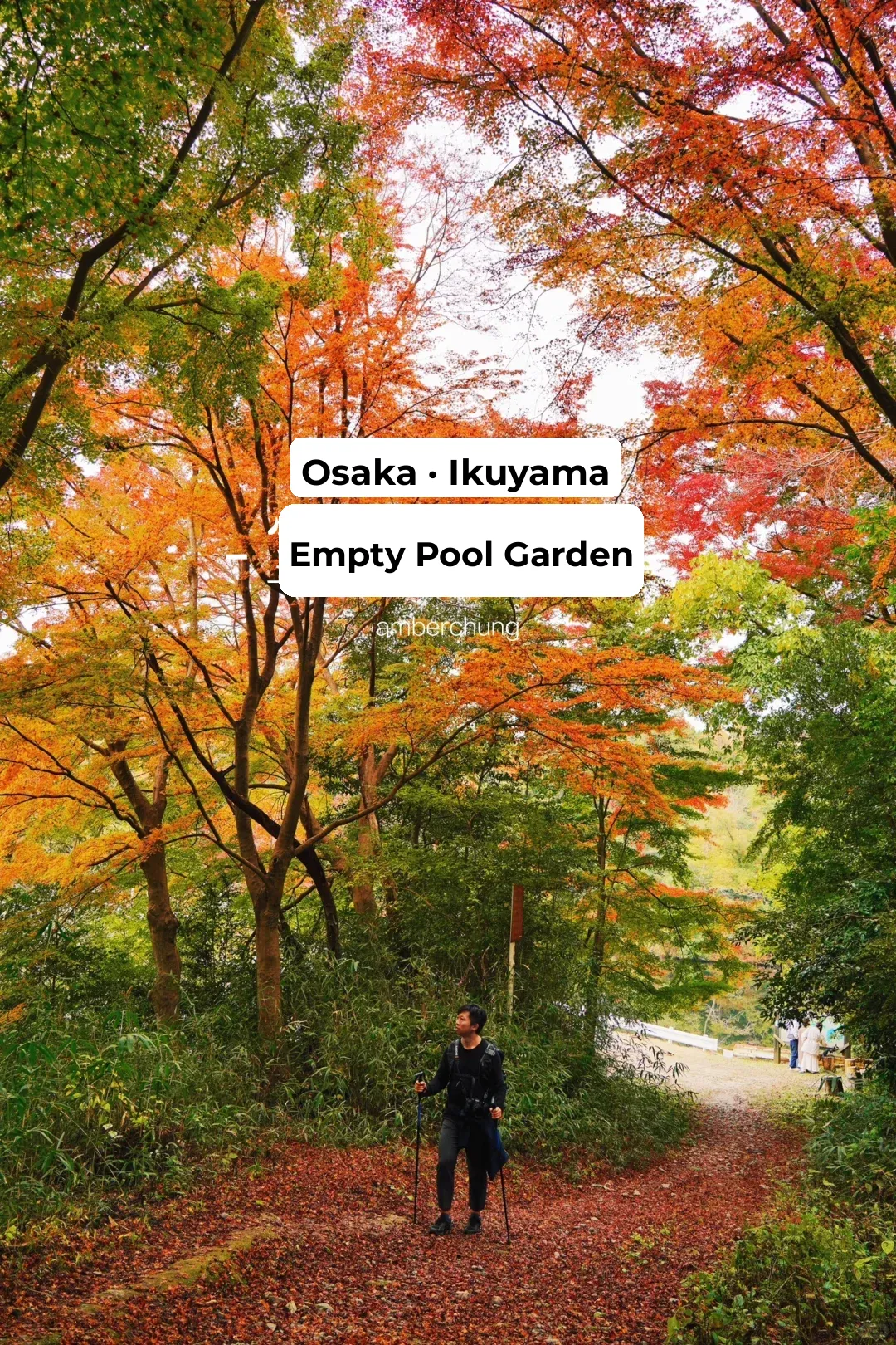 Osaka Ikoma Mountain | Autumn at Shitsuke Garden