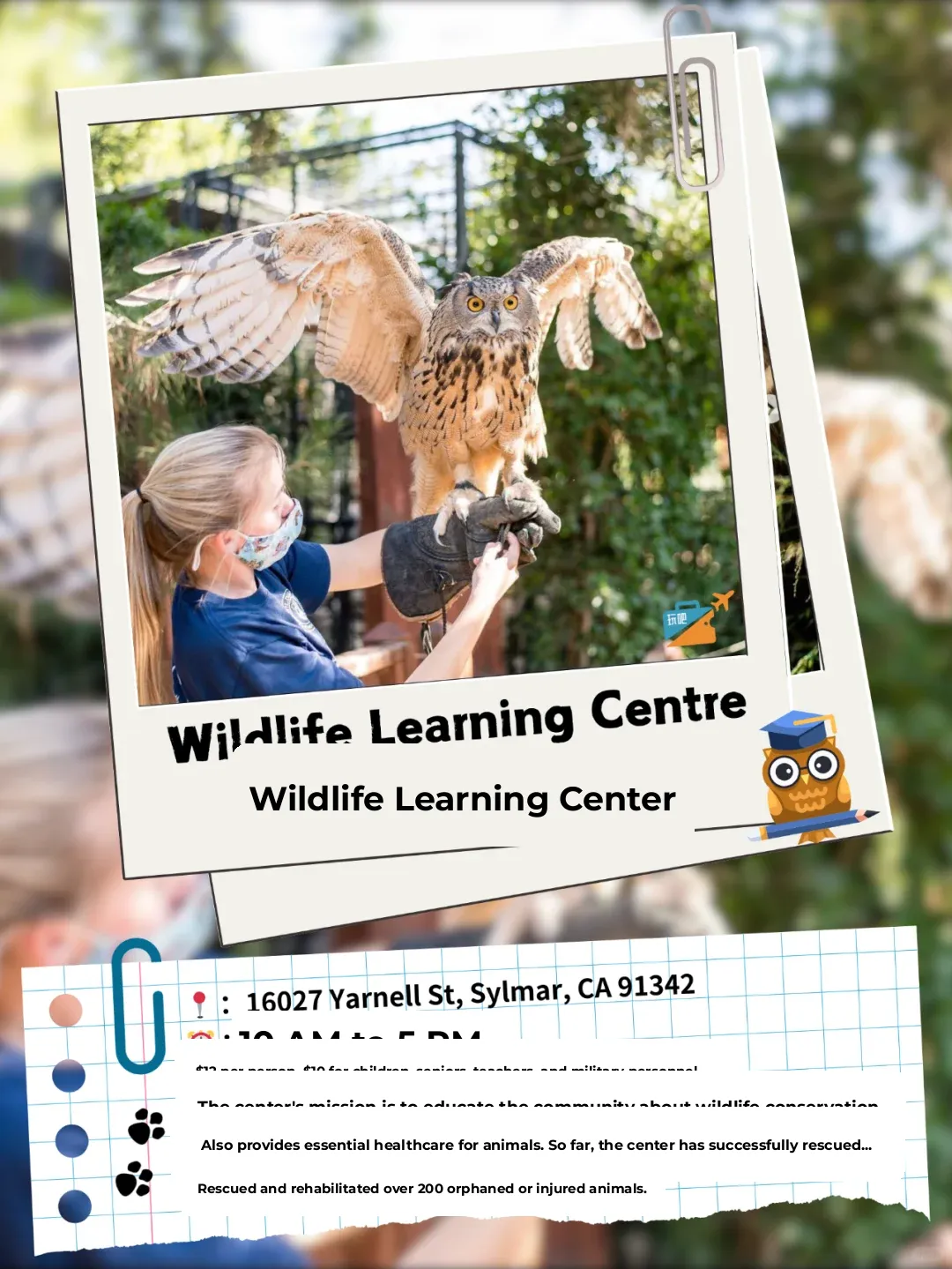 🦒 These 11 Zoos Are the Ultimate Kid-Friendly Spots Around LA