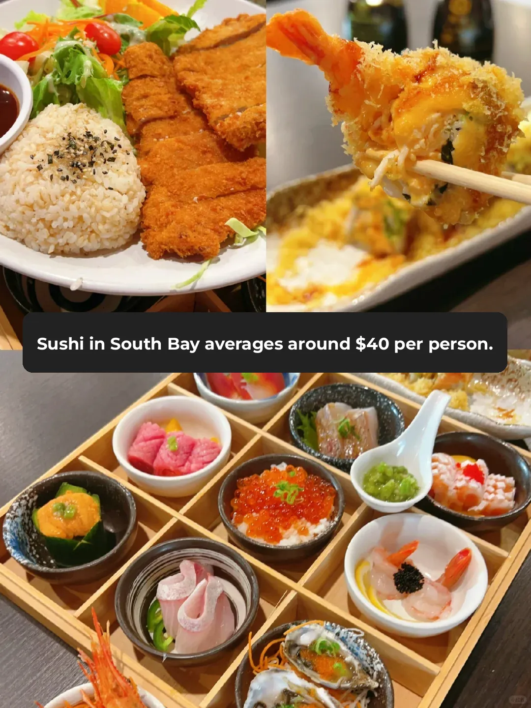 Bay Area Eats | Affordable Japanese Cuisine Experience
