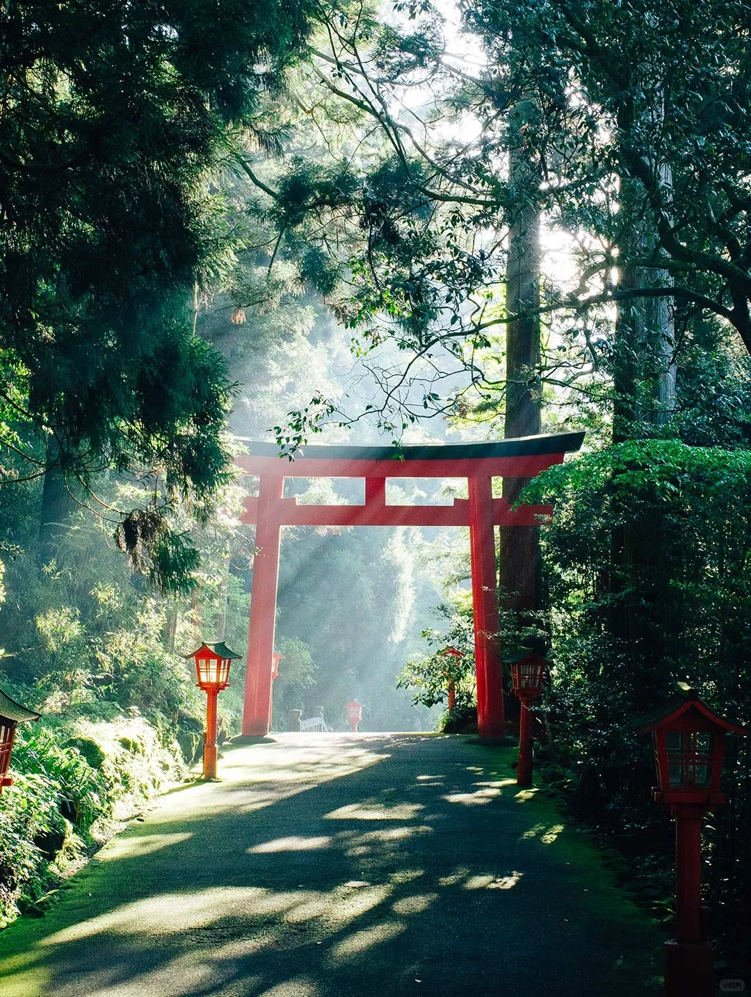 3-Day Kyoto Itinerary: Mastering 15 Must-Visit Spots Without the Hassle