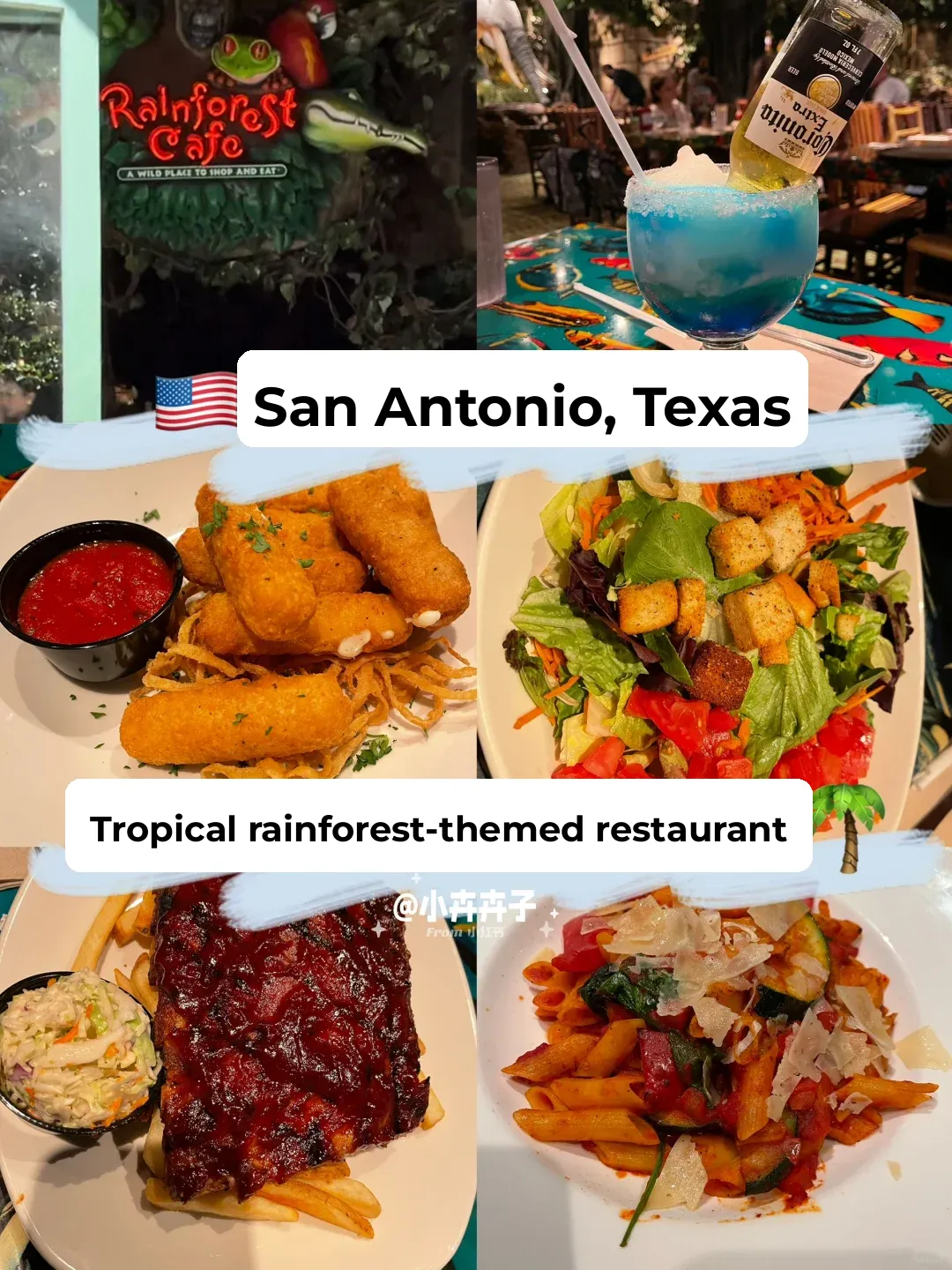 🇺🇸 San Antonio, Texas | Rainforest-Themed Restaurant Experience
