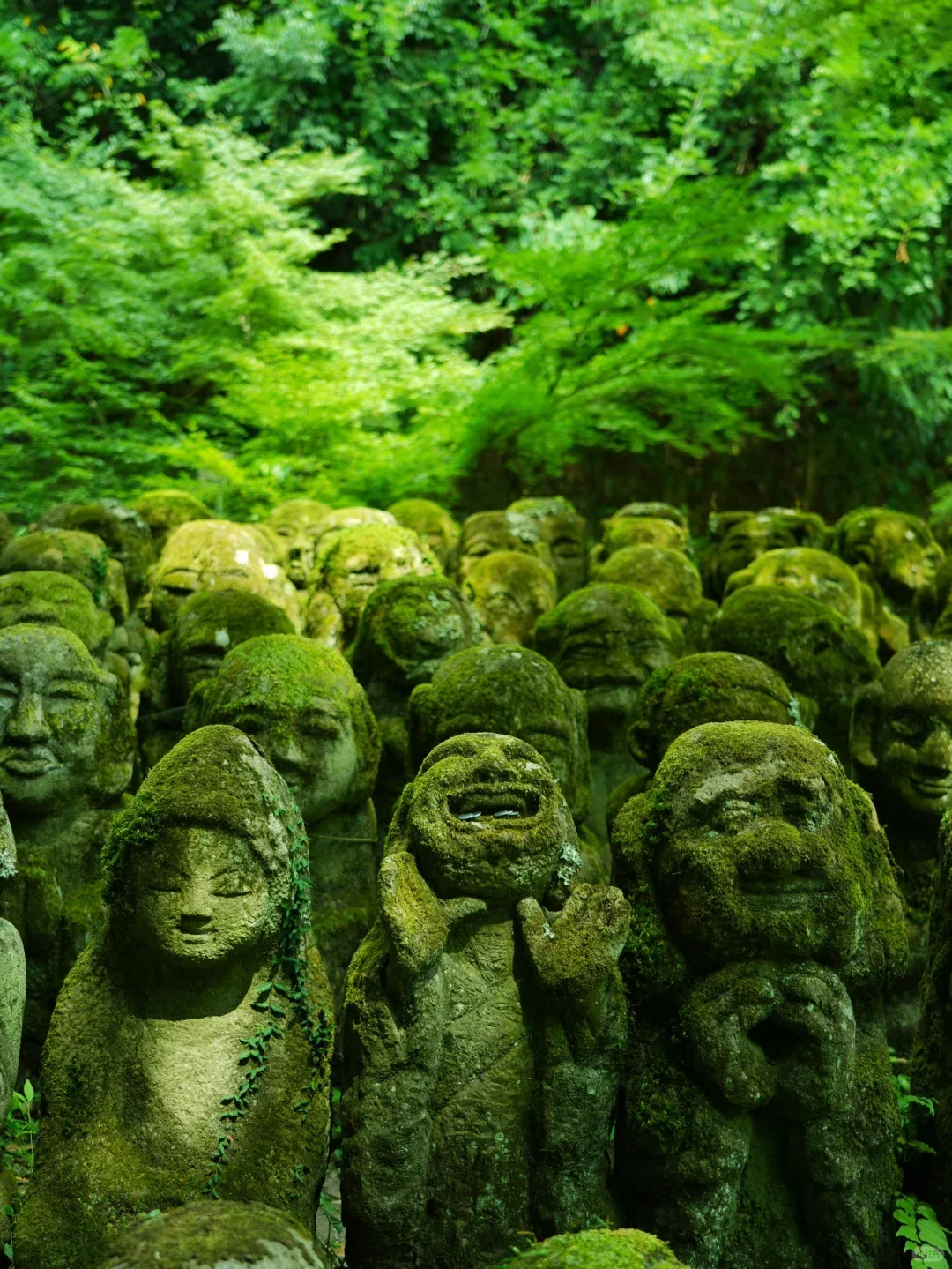 Kyoto, Japan | 10 Must-Visit Temple Gardens This Summer