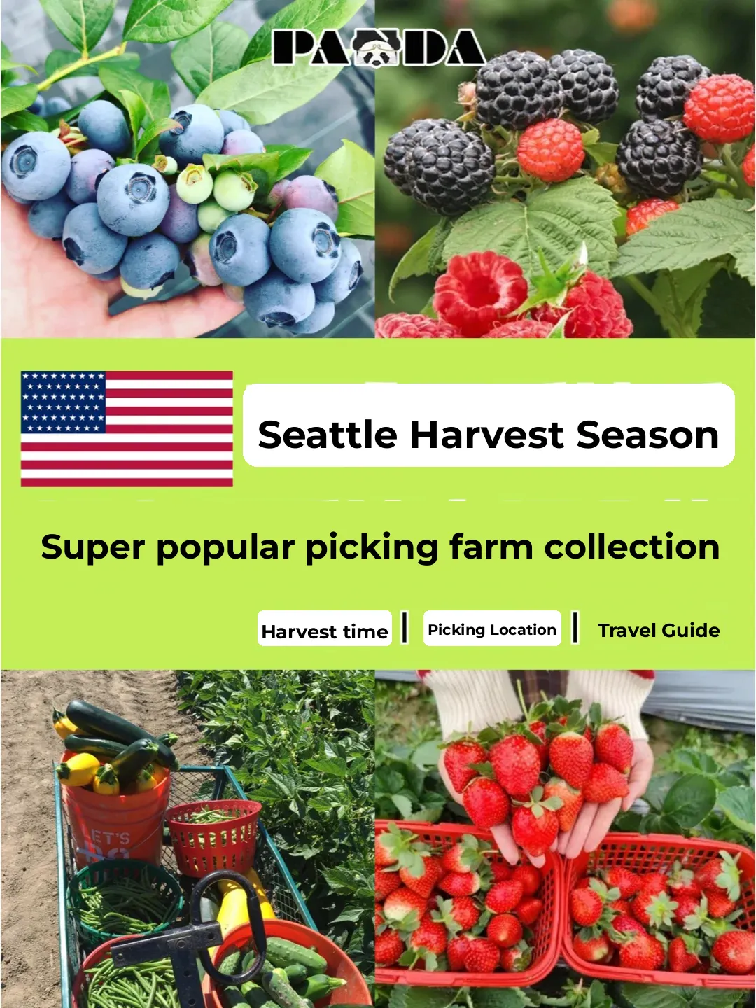 Top Picks: Seattle's Must-Visit Strawberry Picking Farms in June 🍓